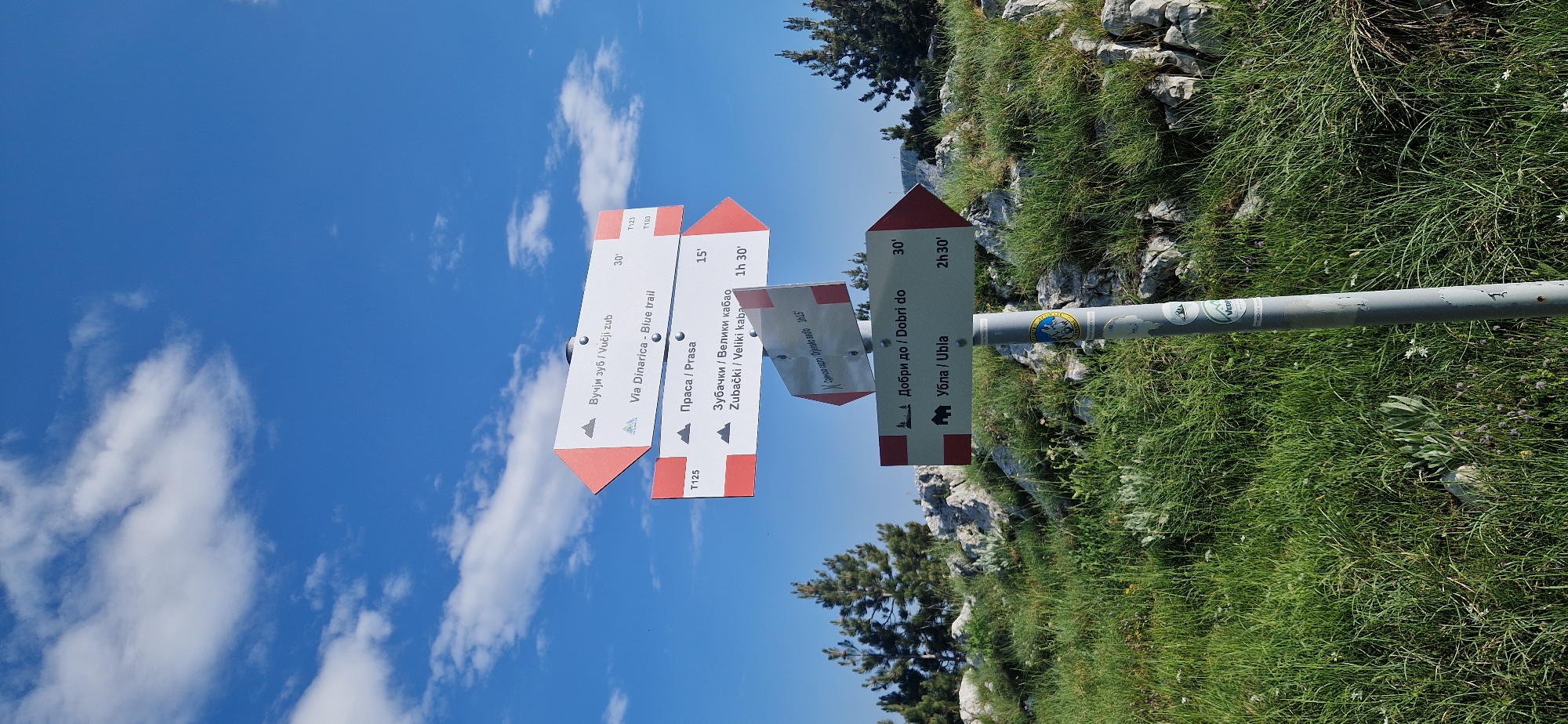 The image shows a signpost with multiple directional signs pointing in various directions, indicating hiking trails. The signpost is made of a grey metal pole. The signs are white with red arrow-shaped ends. The text on the signs is in a combination of Cyrillic and Latin alphabets and includes place names and estimated travel times. One sign reads "Вуччји зуб / Vučji zub" with "30'" next to it, and below that, "Via Dinarica - Blue trail". Another sign reads "Прaсa / Prasa" with "15'" next to it, and below that, "Зубачки / Велики кабао Zubacki / Veliki kabaо" with "1h 30'" next to it. A third sign, partially visible, reads "Добри до / Dobri do" with "30'" next to it, and below that, "Убла / Ubla" with "2h 30'" next to it. There is also a smaller, angled sign with Cyrillic text. The signpost is surrounded by lush green grass and rocks, with a few scattered trees in the background. The sky is blue with scattered white clouds. The location is identified as Kruševice, Montenegro. There are no people or animals visible in the image.