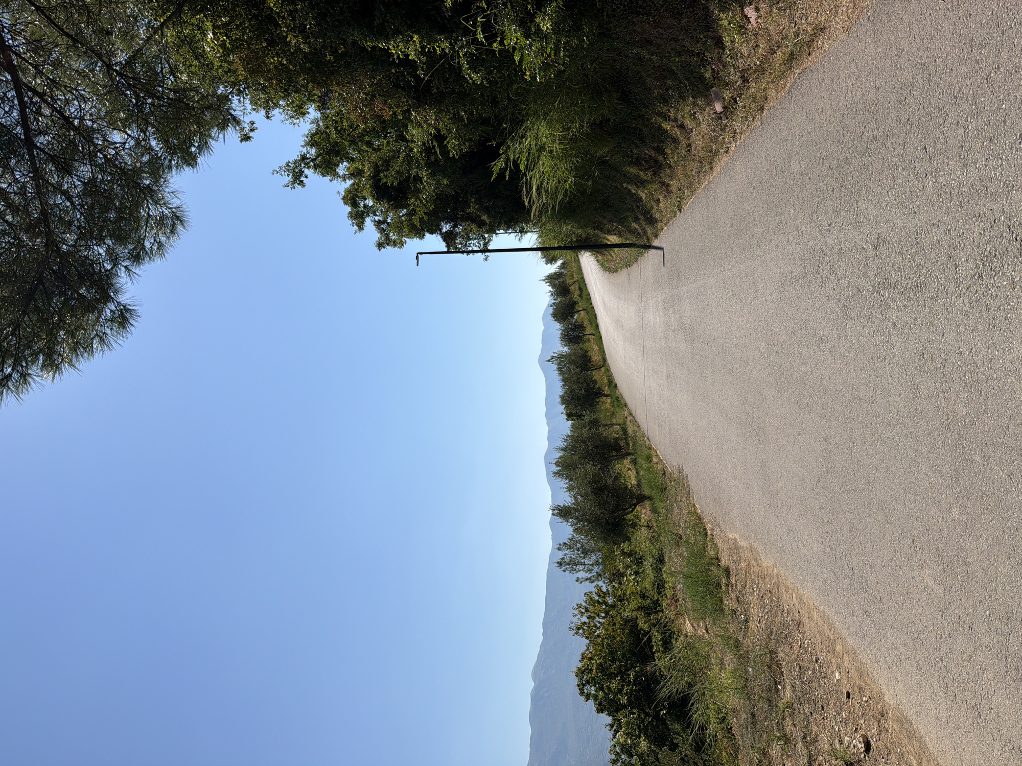 The image depicts a paved road winding uphill through a landscape dotted with olive trees and lush vegetation under a clear blue sky. In the distance, a range of mountains can be seen, suggesting a coastal or hilly region. A single black lamppost stands on the right side of the road, casting a faint shadow on the asphalt. The scene appears tranquil and natural, characteristic of a scenic route in a Mediterranean climate. This location is likely near Budva, Montenegro, given the characteristic landscape and vegetation seen in the image.