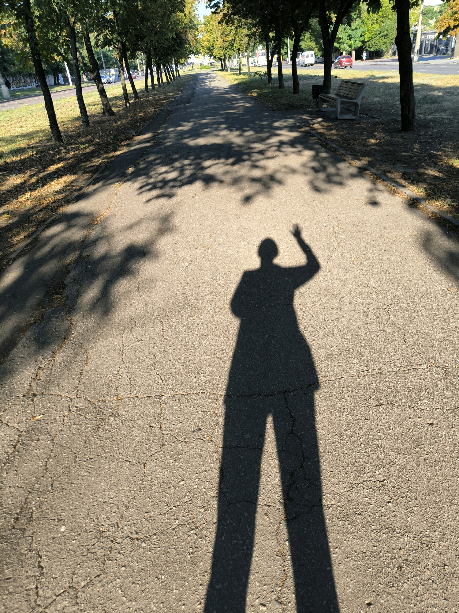 A shadow of a person with their right arm raised, possibly waving, is cast on a cracked asphalt path. The path is lined with trees on the left, casting dappled shadows on the ground. Beyond the trees, a road with a few vehicles is visible. On the right side of the path, a park bench and a trash can are situated under the trees. The scene appears to be in a public park or along a tree-lined street in Mykolaiv, Ukraine, given the context provided by the image. The lighting suggests it is daytime, with the sun casting long shadows.