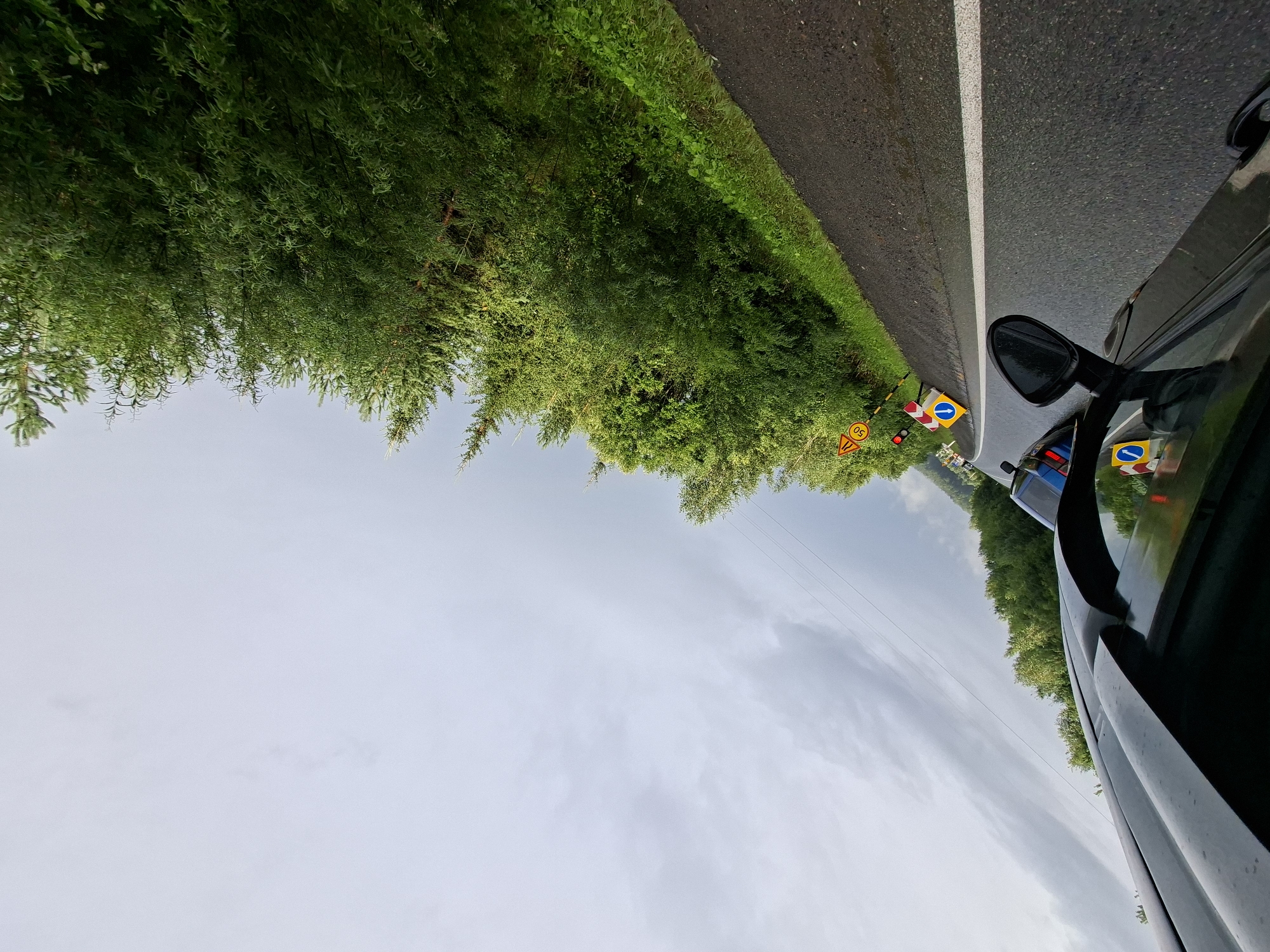 The image is a tilted, wide-angle shot looking out from the passenger side of a black car traveling along a wet asphalt road. Trees line the right side of the road, with a bright green grassy verge. The sky is overcast with a light greyish-blue hue. Traffic cones and road signs are visible along the roadside, indicating some form of roadwork or lane closure. One sign displays a yellow triangle with a black border and a "50" inside, likely a speed limit. Another sign shows a blue arrow indicating a turn. A traffic light with red and yellow bulbs is also present. A blue car is visible ahead in the same lane. The scene appears to be in a rural or suburban area, given the dense tree line. There is no indication of the specific location within Yugo-Kamskiy, Russia, beyond the general context of a road with traffic and vegetation. The perspective suggests the photo was taken from a moving vehicle.