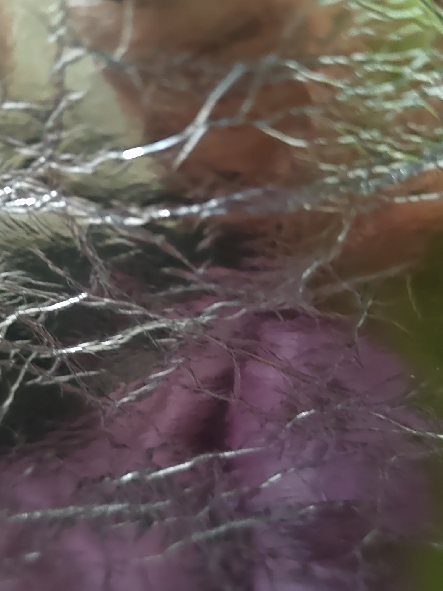 The image is an abstract, close-up photograph of a crumpled, reflective material, likely aluminum foil. The material exhibits highlights and shadows, creating a textured and distorted appearance. The colors are muted, with shades of silver, gray, brown, and a purplish hue visible beneath the foil. The extreme close-up perspective and the reflective nature of the foil obscure any discernible objects or scene details, making it impossible to identify a specific location, such as Rostov-on-Don, Russia, or any people, subjects, actions, or interactions. The image appears to be a study of light and texture rather than a representational depiction of a scene.