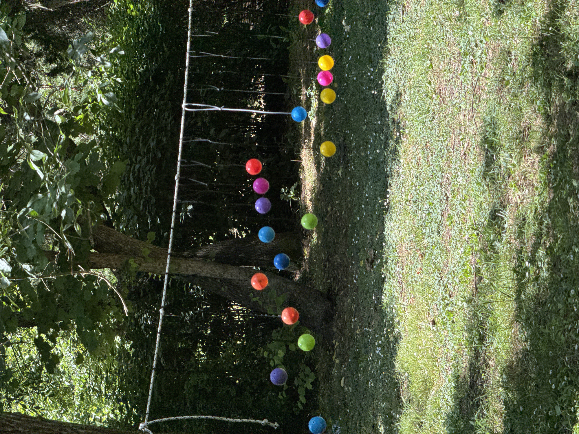 In a grassy outdoor area, likely a park or backyard in Burgas, Bulgaria, a volleyball net is strung between two trees. Colorful plastic balls, predominantly in shades of blue, purple, green, orange, and yellow, are suspended from the net by strings. These balls appear to be part of a decorative setup or a game. The background is filled with dense green foliage and trees, suggesting a natural, shaded environment. The ground is covered with a mixture of green grass and small white flowers. The lighting indicates a bright, sunny day with dappled sunlight filtering through the leaves. No people are visible in the image.