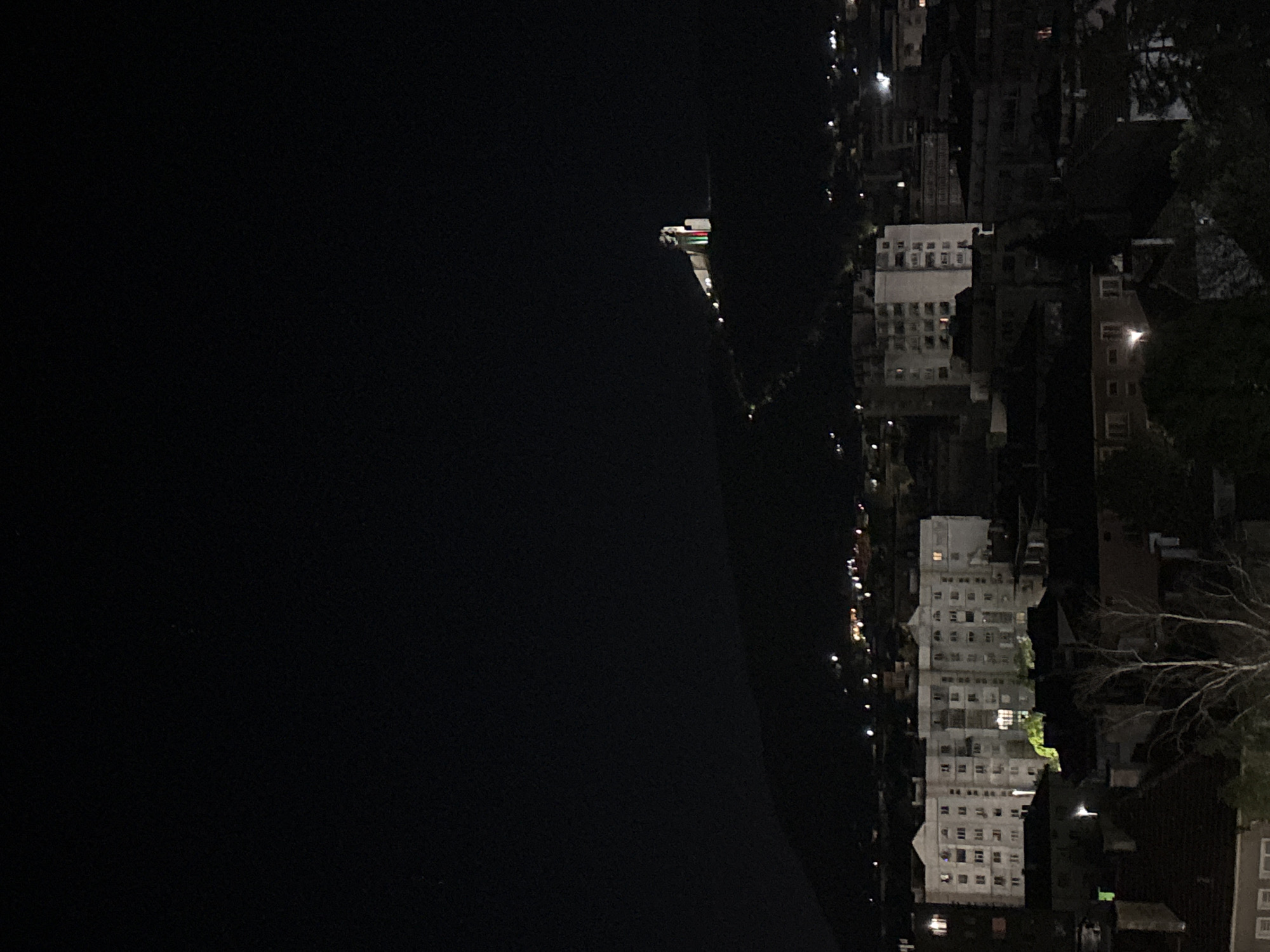 The image depicts a night scene featuring a body of dark water on the left and the illuminated shoreline of a city on the right. A ship is visible in the water, displaying running lights and possible flags. The city consists of densely packed buildings, some with many illuminated windows. Bare tree branches are visible in the lower right, suggesting a park or residential area. The environment is dark, with artificial lights providing the primary source of illumination. The location is not discernible without further information, but it appears to be an urban waterfront area.