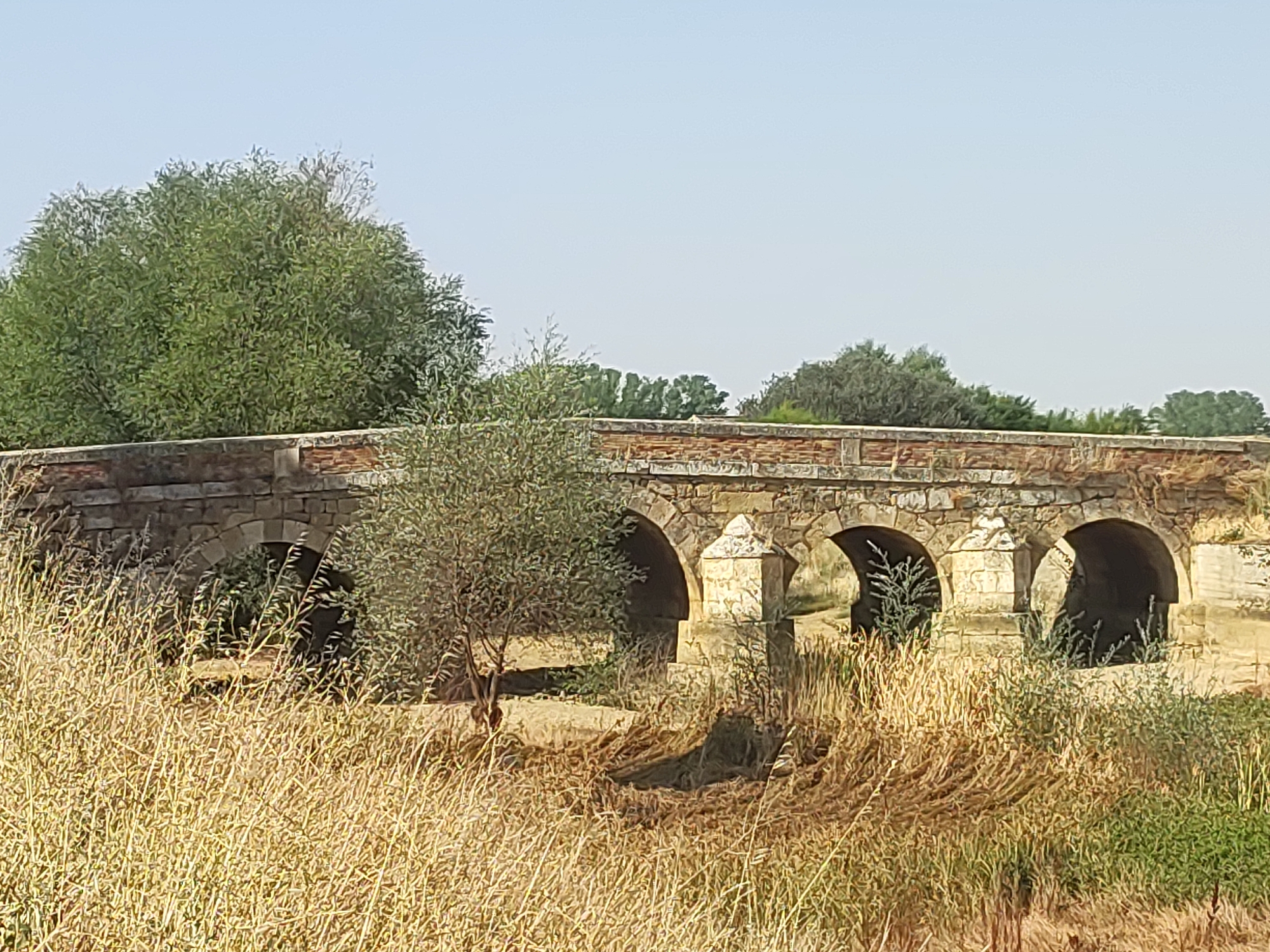 The image shows an old stone bridge with multiple arches, possibly an aqueduct, located in Autillo de Campos, Spain. The bridge is made of rough-hewn stone blocks and topped with a brick parapet. It is surrounded by dry, golden grasses and some sparse green vegetation, with trees visible in the background against a clear blue sky. The lighting suggests it is daytime, likely under direct sunlight. The scene is still and appears to be in a rural or natural setting. There are no people or animals visible. The architecture of the bridge suggests it is historical in nature.