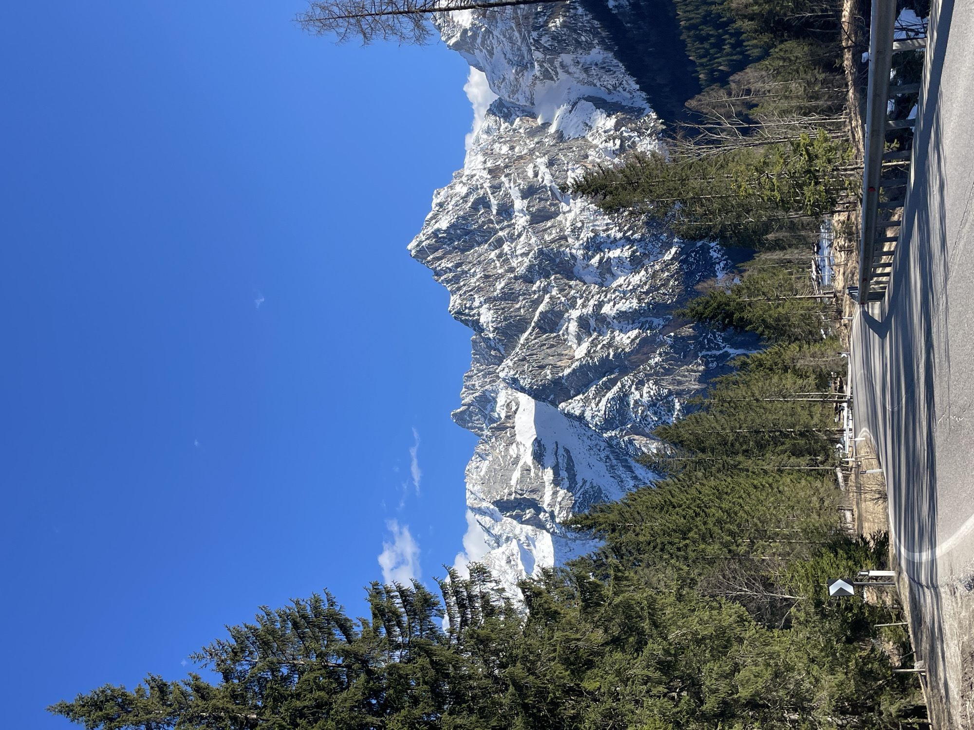 The image shows a view of a snow-capped mountain, likely in the Dolomites, near Auronzo di Cadore, Italy. A highway runs along the right side of the frame, with a metal guardrail separating it from a forested area with pine trees. The sky is a clear, vibrant blue. The mountain has a rugged, rocky face, partially covered in snow and ice. Patches of forest extend up the lower slopes of the mountain. Some bare tree branches are visible at the top and bottom of the frame. The angle suggests the photo was taken from a higher vantage point, possibly the highway itself.