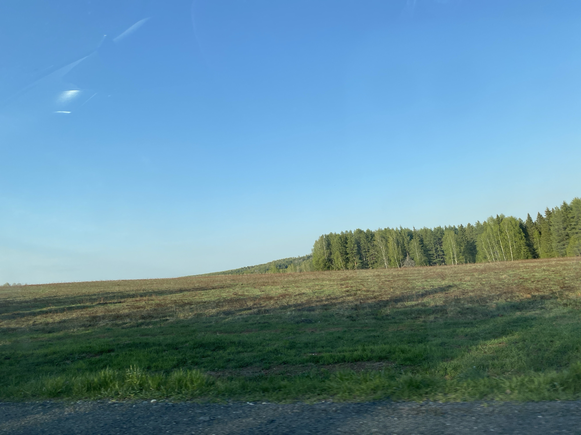 The image shows a field with mixed grass and bare patches, leading up to a line of trees. The sky is clear blue. The bottom of the image shows asphalt. The image was taken from inside a vehicle, likely through a window. It is not possible to determine the location as the city of Vary, Russia based on the image alone.