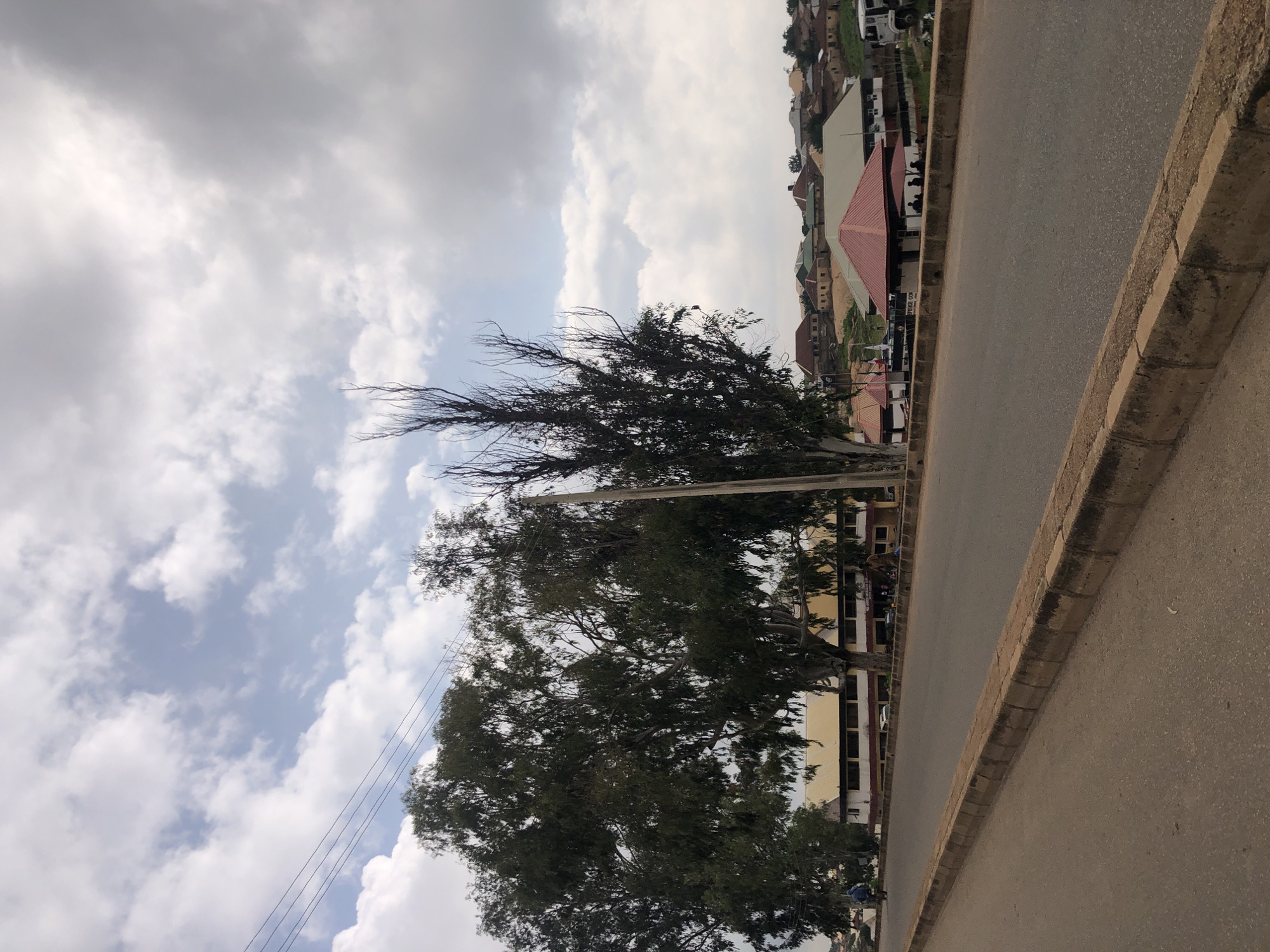 The image shows a street scene in Jos, Nigeria. The foreground features an asphalt road with a concrete curb. In the midground, a large tree with dense foliage stands to the left, while a bare tree with sparse branches is positioned to its right. Behind the trees, a long, light-colored building with a yellow roof is visible, as are several smaller buildings with red and brown roofs scattered on a hillside in the background. The sky is partly cloudy. There are a few people visible, one riding a bicycle on the road and others standing near the buildings. Electrical wires are strung across the upper portion of the image, running from a pole to the left.