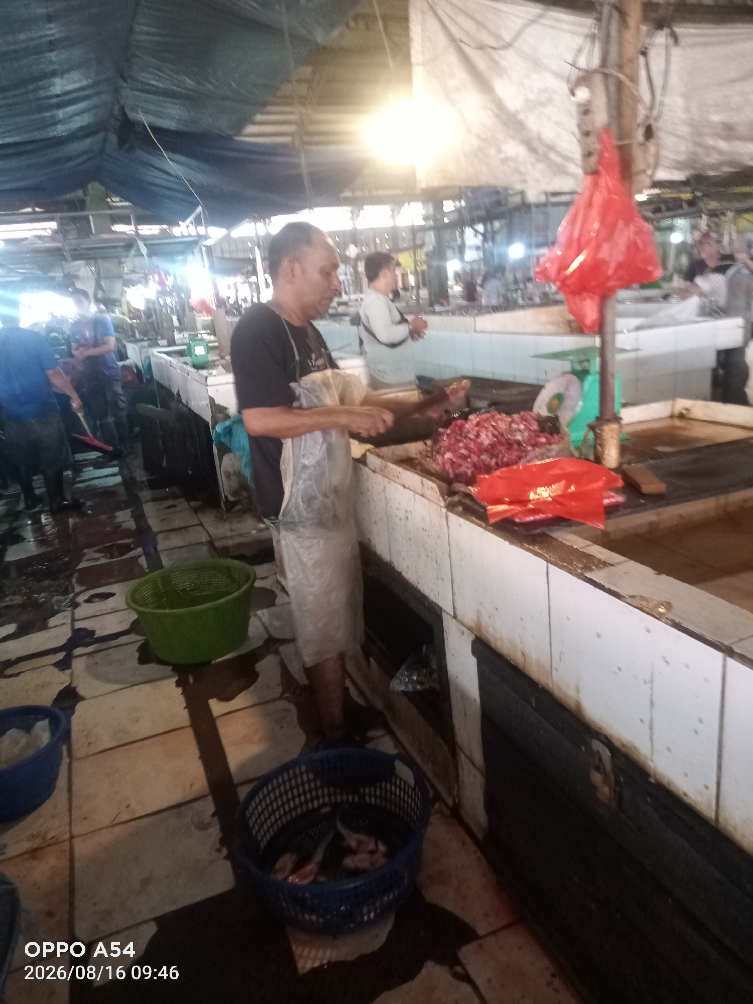 This image depicts a bustling scene at a wet market, likely in the city of Jambi, Indonesia. The environment is a covered market with a corrugated metal roof supported by wooden posts. The ground appears to be tiled and wet, with puddles of water, indicating a typical market environment where produce and meats are sold.
In the foreground, a man wearing a dark t-shirt and a plastic apron is actively engaged in processing food, possibly meat or fish, on a tiled counter. He is using his hands and appears to be working with finely chopped ingredients piled on the counter. Adjacent to him, a large red plastic bag hangs from a pole, and another red plastic bag lies on the counter. A green plastic basket sits on the wet floor to his left.
Further back, other individuals are visible, some appearing to be customers and vendors. One person in a light-colored shirt stands near a green scale. To the left of the central figure, a person in a blue shirt is seen in the background, holding a red tool. In the lower right corner, a dark blue basket contains fish. Another blue container is visible to the left of this basket.
The overall lighting suggests it is daytime, with artificial lights supplementing the natural light, creating a somewhat dim and diffused atmosphere. The scene conveys the activity and perhaps the humidity characteristic of a busy Indonesian wet market. The timestamp "2026/08/16 09:46" is overlaid on the image, along with "OPPO A54," indicating the device and date of capture.