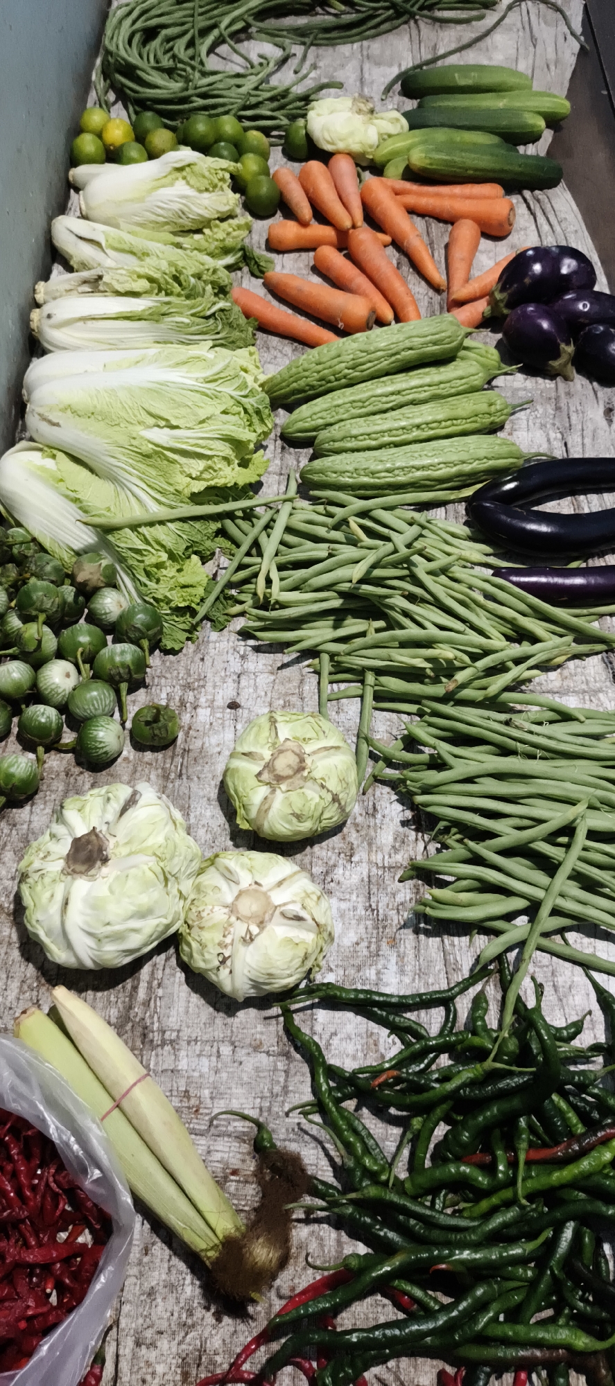 The image shows a collection of fresh vegetables laid out on a wooden surface, likely a table or stall. The vegetables include several heads of napa cabbage, carrots, bitter melons, long beans, small green eggplants, cucumbers, limes, red chili peppers, green chili peppers, and lemongrass. Three round, pale green vegetables, possibly a type of cabbage or kohlrabi, are also present. The scene appears to be an outdoor market stall in Muaro Jambi, Indonesia, given the variety of produce commonly found in Southeast Asian markets. The lighting suggests it is daytime, with a slightly overhead light source creating subtle shadows. There are no people visible in the image.