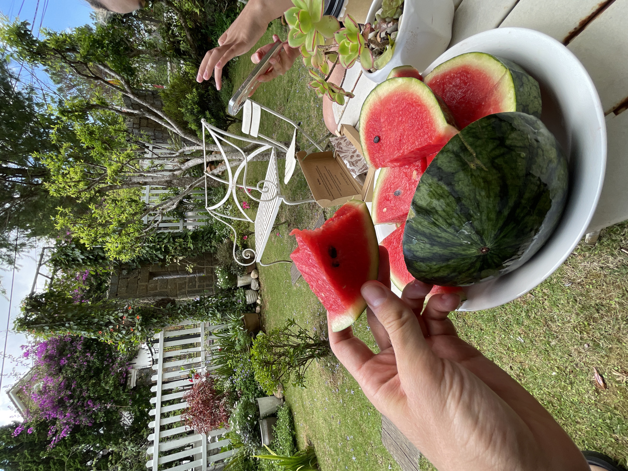 In a garden setting, a person holds a slice of watermelon with a few visible seeds. A white bowl on a white table contains other watermelon slices and a small, whole watermelon. Beside the bowl is a white pot holding a succulent plant. A partially opened cardboard box rests near the bowl. Other people are also visible, though their faces are not visible. The background features a white picket fence, various plants and trees, and a stone structure covered in vines. The location is Lâm Viên - Đà Lạt, Vietnam.