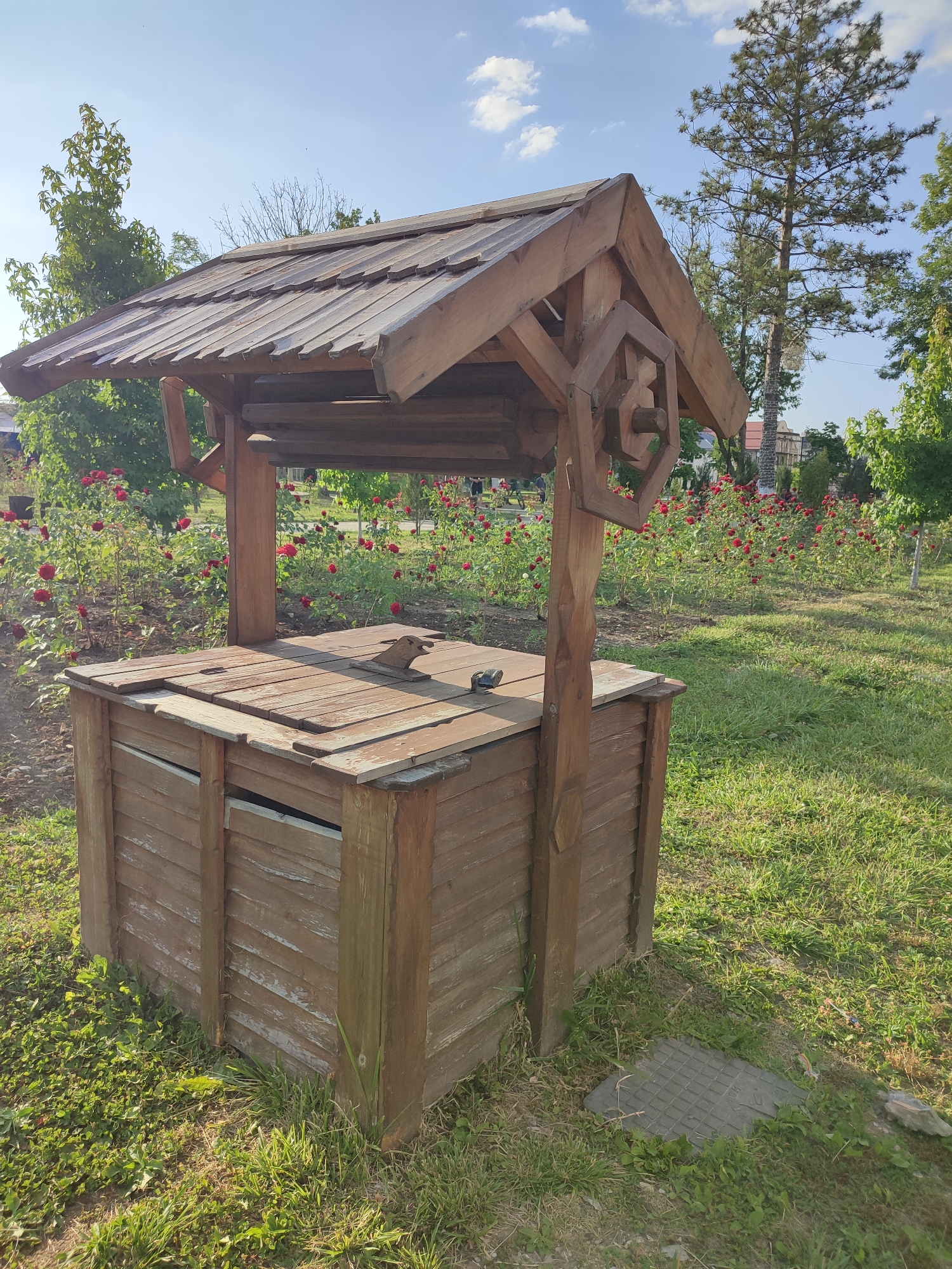 In Abinsk, Russia, a rustic wooden well stands in a garden adorned with blooming red roses. The well's structure features a peaked wooden roof supported by sturdy posts. The wellhead is covered with a wooden lid, and a decorative wooden element is carved into one of the supporting posts. Lush green grass surrounds the well, with scattered weeds and a concrete grate near its base. The background reveals more rose bushes and trees, set against a clear blue sky with scattered white clouds. The scene appears tranquil and picturesque.