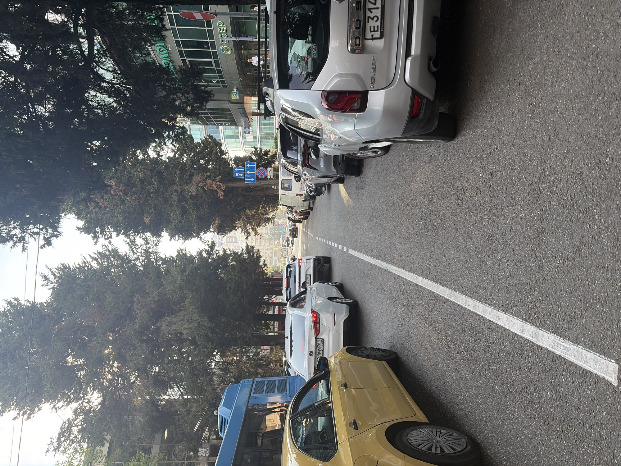 The image depicts a street scene in Sochi, Russia, characterized by traffic congestion under a bright sky filtering through tall trees. A blue bus is parked on the left side of the frame, with its side facing the camera. In front of the bus, a yellow car is stopped, its front wheel and door clearly visible. Behind the yellow car, a white sedan is proceeding in the same direction. Further down the road, a line of cars, including a silver SUV prominently featured in the foreground, are stuck in traffic. The road has a white dividing line. Buildings line the right side of the street, with trees providing shade. Some individuals are visible in the distance near the buildings. The overall impression is a typical urban traffic situation with lush greenery.