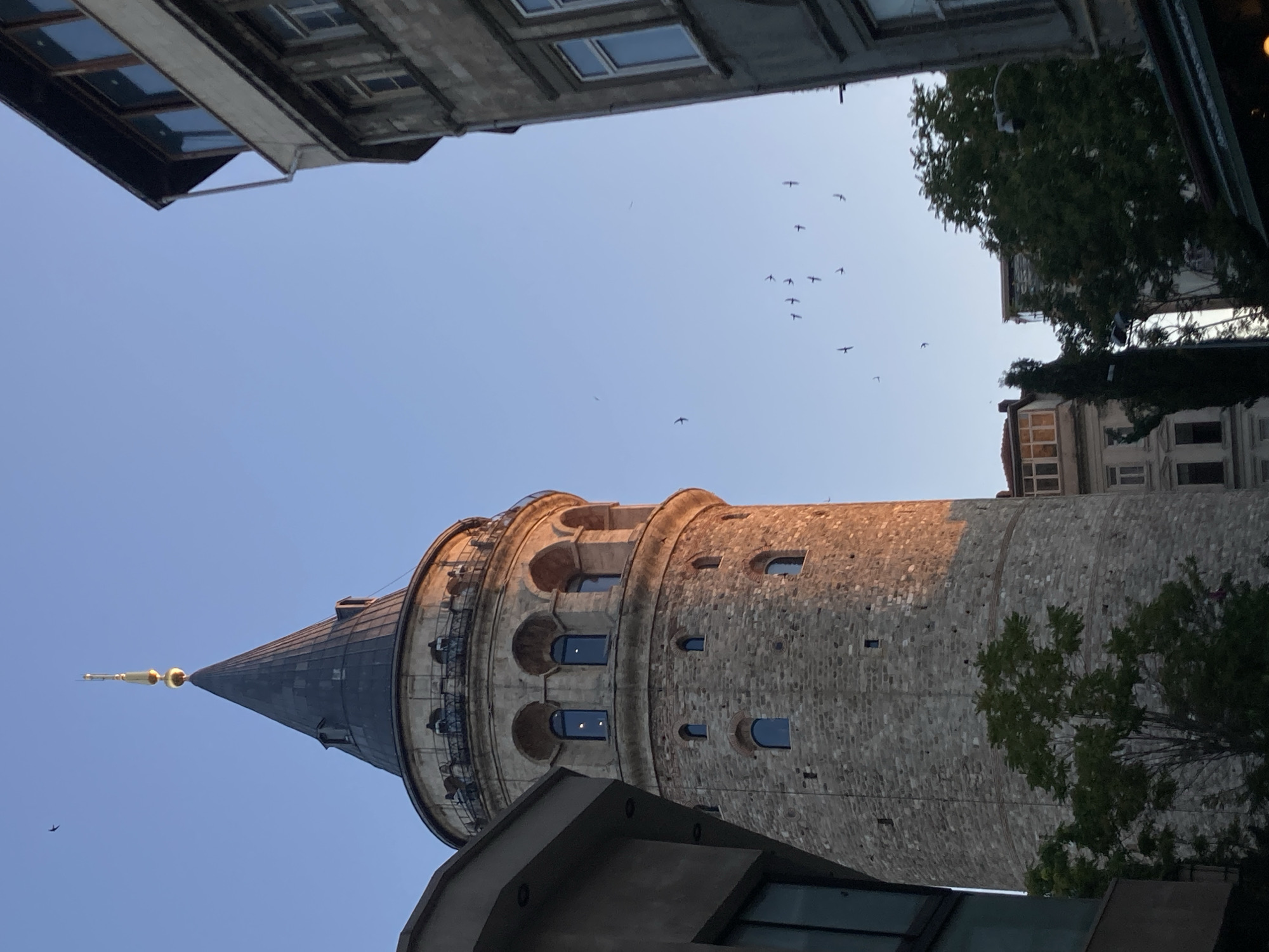 In the city of Beyoğlu, Turkey, the Galata Tower stands tall against a clear blue sky. The stone tower, with its conical dark roof topped by a golden spire, is illuminated by the warm glow of the setting sun on its right side. The tower's circular structure features multiple arched windows. The foreground shows the edges of modern buildings, one with large glass windows and another with a dark roof and a gutter. A cluster of trees, one with dense green foliage, is visible at the base of the tower, partially obscuring it. The sky is dotted with numerous birds in flight, their dark silhouettes stark against the pale blue. In the background, several other buildings of varying architectural styles and heights are visible, some with illuminated windows, suggesting an urban environment. The overall scene captures a moment of a historic landmark against a backdrop of a bustling city at dusk.