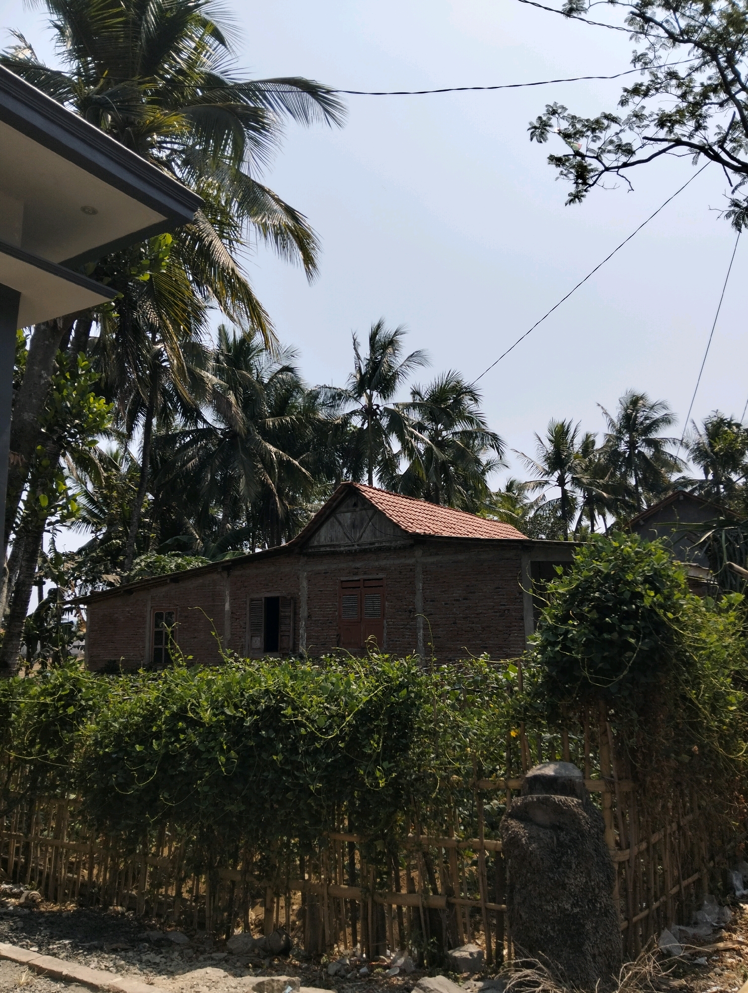 The image captures a brick house with a red tile roof, partially obscured by lush green foliage and a bamboo fence. Palm trees dominate the background, suggesting a tropical or subtropical environment. The sky is clear and bright, indicating daytime. The overall scene depicts a residential area, possibly in Tipar, Indonesia, characterized by its natural vegetation and simple architecture. There are no people or animals visible in the frame. The ground is covered with gravel and some debris, hinting at a rural or semi-rural setting. The house appears aged, with visible wooden shutters on the windows and an open doorway. A modern grey-tiled overhang is visible in the upper left corner, juxtaposed with the older structure and natural surroundings.