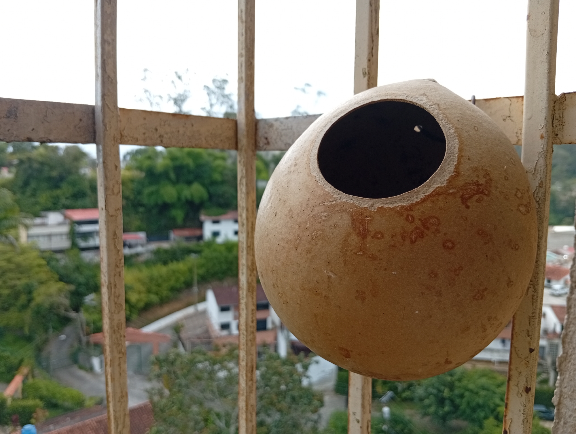 A close-up, slightly angled shot features a round, brown, hollowed-out gourd, likely serving as a birdhouse, hanging from a rusty, cream-colored metal railing. The gourd has a dark, circular opening and is textured with small imperfections and reddish-brown splotches. Behind the gourd and railing, a blurred cityscape is visible. The background depicts buildings with red and white roofs, green trees, and winding roads, suggesting a residential area. The overall scene implies a view from a balcony or window overlooking a neighborhood in San Antonio de Los Altos, Venezuela. The lighting is soft and diffused, indicating an overcast day. No people are visible in the frame.