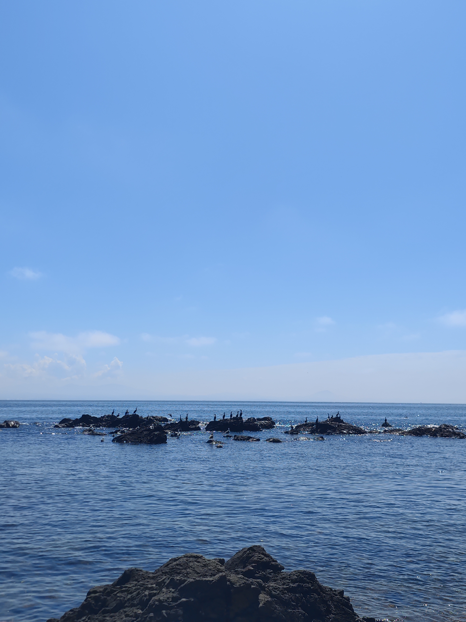 The image depicts a serene seascape with a clear blue sky and calm, deep blue water. Several dark, rocky outcrops emerge from the water, some populated by numerous black birds, likely cormorants, perched and standing. The foreground features a large, dark rock. In the distance, a faint landmass is visible on the horizon. This scene is characteristic of the coastal areas surrounding Vladivostok, Russia, where rocky shores and bird populations are common features.