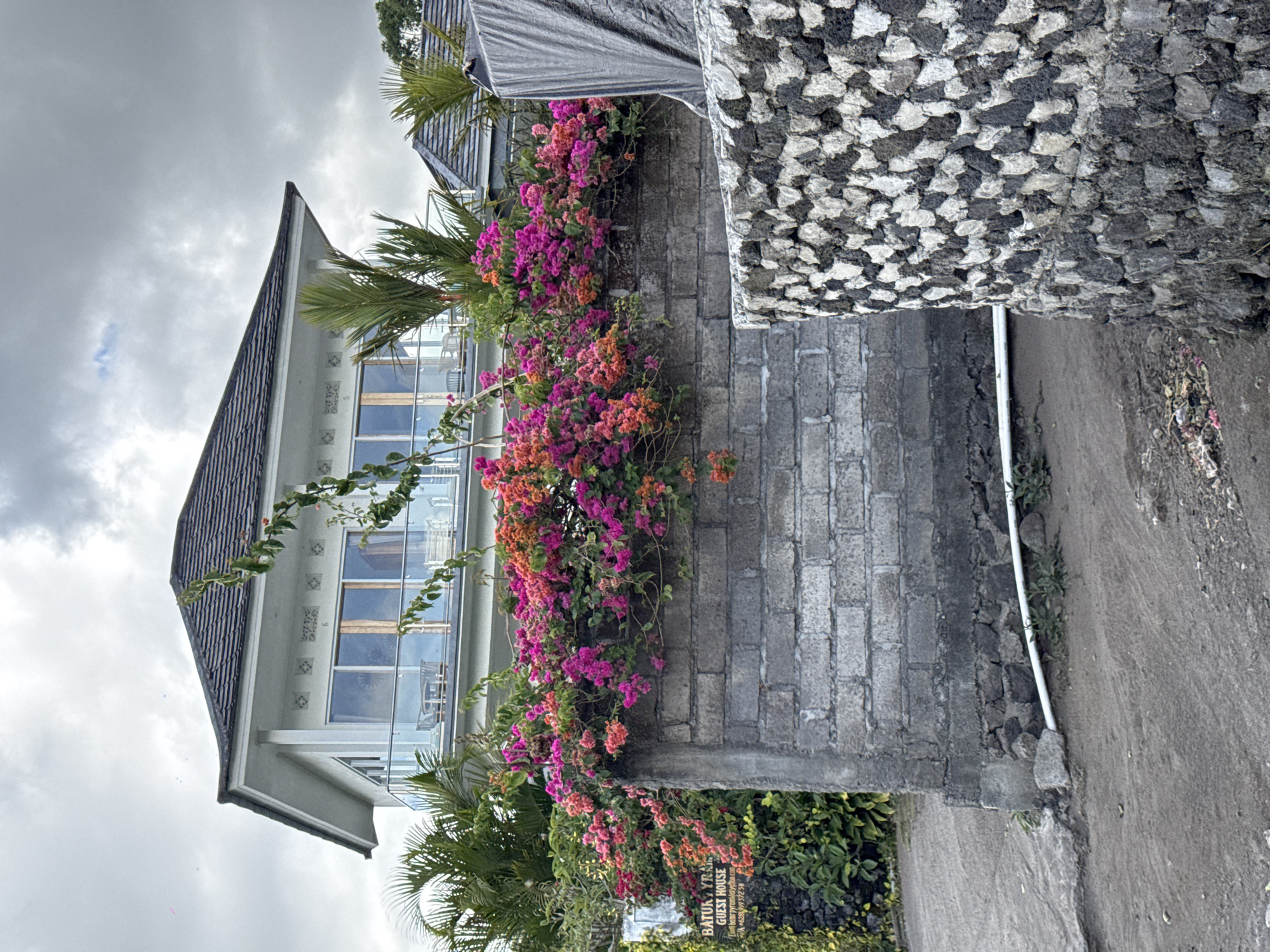 The image depicts a front view of a multi-story guest house with a white exterior, a dark tiled roof, and large glass windows on the upper level. Bougainvillea flowers in vibrant pink and orange hues cascade over a rough brick wall that fronts the property. A sign on the left side of the wall reads "BATUK YRANI GUEST HOUSE" with additional contact information. To the right of the brick wall, a section of a wall constructed with irregularly shaped black and white stones is visible. Palm trees are present on the property, and the sky is overcast. The foreground shows a dirt path. This scene is located in Kintamani, Indonesia.
