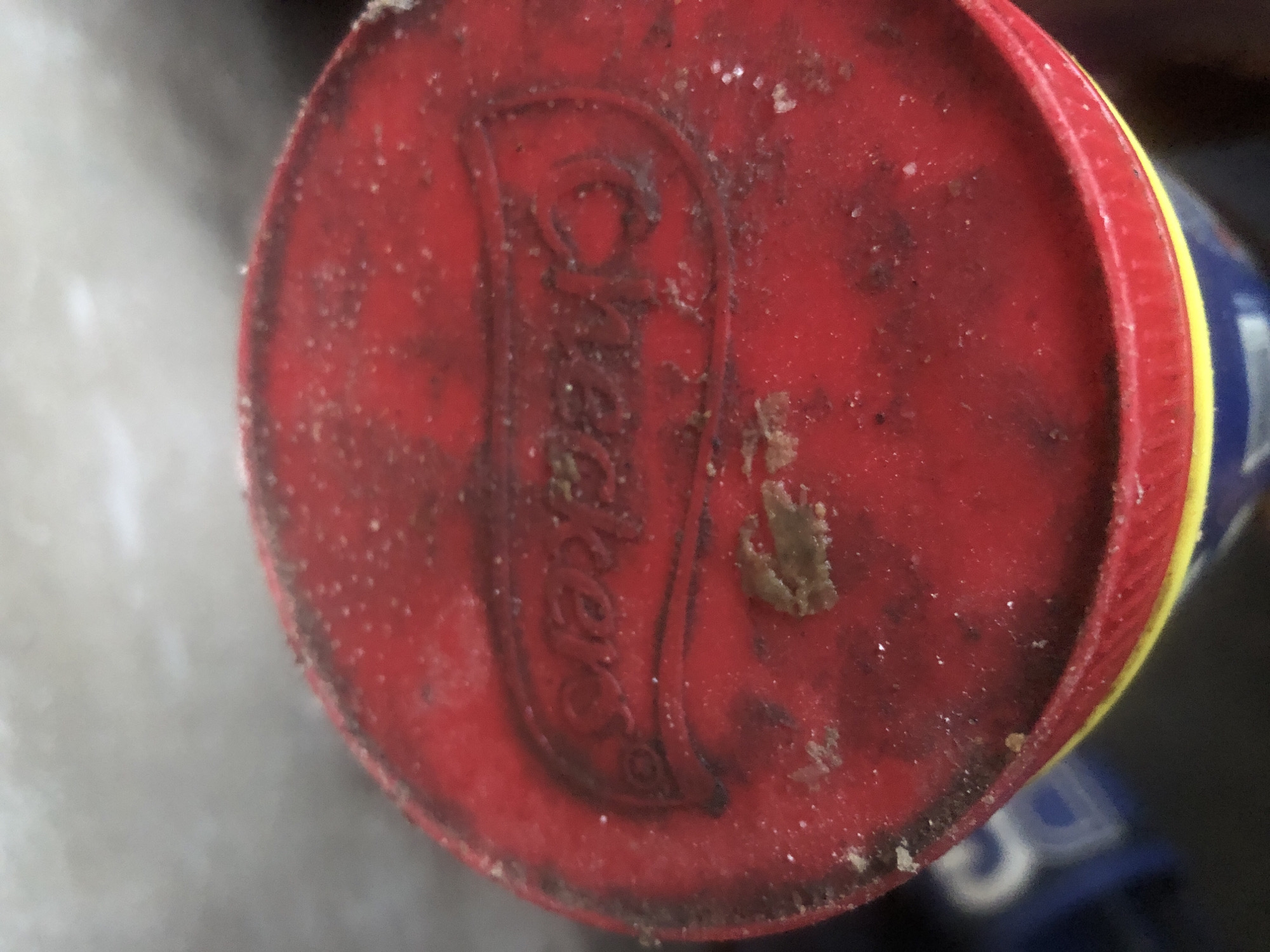 The image shows the red lid of a container, possibly a can or jar, with a yellow band visible at the bottom edge. Embossed on the lid is a logo or text that appears to read "Weckers." The lid is dusty and shows signs of wear and tear, with some brown, granular debris scattered across its surface and within the embossed lettering. A small clump of light brown material is visible in the center of the lid. The background is out of focus, showing a light gray, textured surface. The lower part of the image reveals a portion of a blue and yellow cylindrical object, likely the body of the container, with some blurred white lettering visible. The overall scene suggests an object that has been stored in a dusty environment, possibly a warehouse or workshop. The context of Jalingo, Nigeria, is not visually represented in this image.
