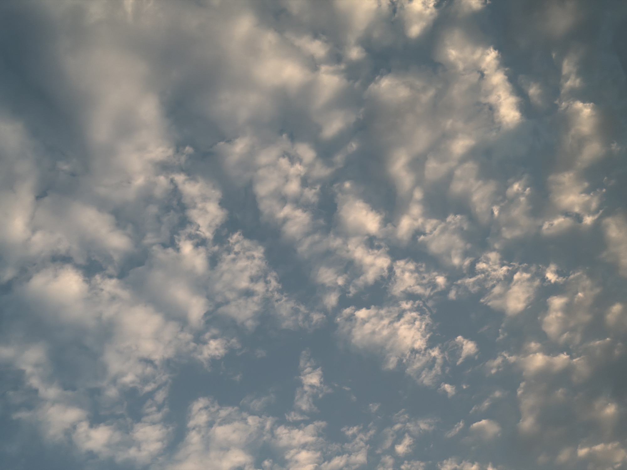 The image displays a vast sky filled with numerous clouds, occupying the entire frame. The scene is an overhead view, focusing exclusively on the atmospheric conditions. The clouds are varied in shape and density, creating a textured pattern across the sky. Many clouds exhibit shades of white, grey, and soft golden-brown, suggesting they are illuminated by a light source positioned low in the sky.
Bright, warm light, possibly from the rising or setting sun, highlights the edges and upper surfaces of several cloud formations, casting a gentle glow. This contrasts with deeper grey and blue-grey areas, which appear shadowed or less directly lit. This interplay of light and shadow gives the clouds a sense of depth and dimension. The visible patches of sky between the cloud masses are a muted blue-grey. The overall weather appears cloudy but with breaks, creating a dappled effect.
There are no people, man-made objects, structures, or discernable ground features visible in the image. No activity or event, other than the natural presence of clouds, is taking place. The time of day is likely either early morning or late afternoon, given the warm, directional light filtering through the clouds. No text is visible in the image. While the location context is Hải Phòng, Vietnam, there are no specific visual cues within the image to confirm this geographical detail.