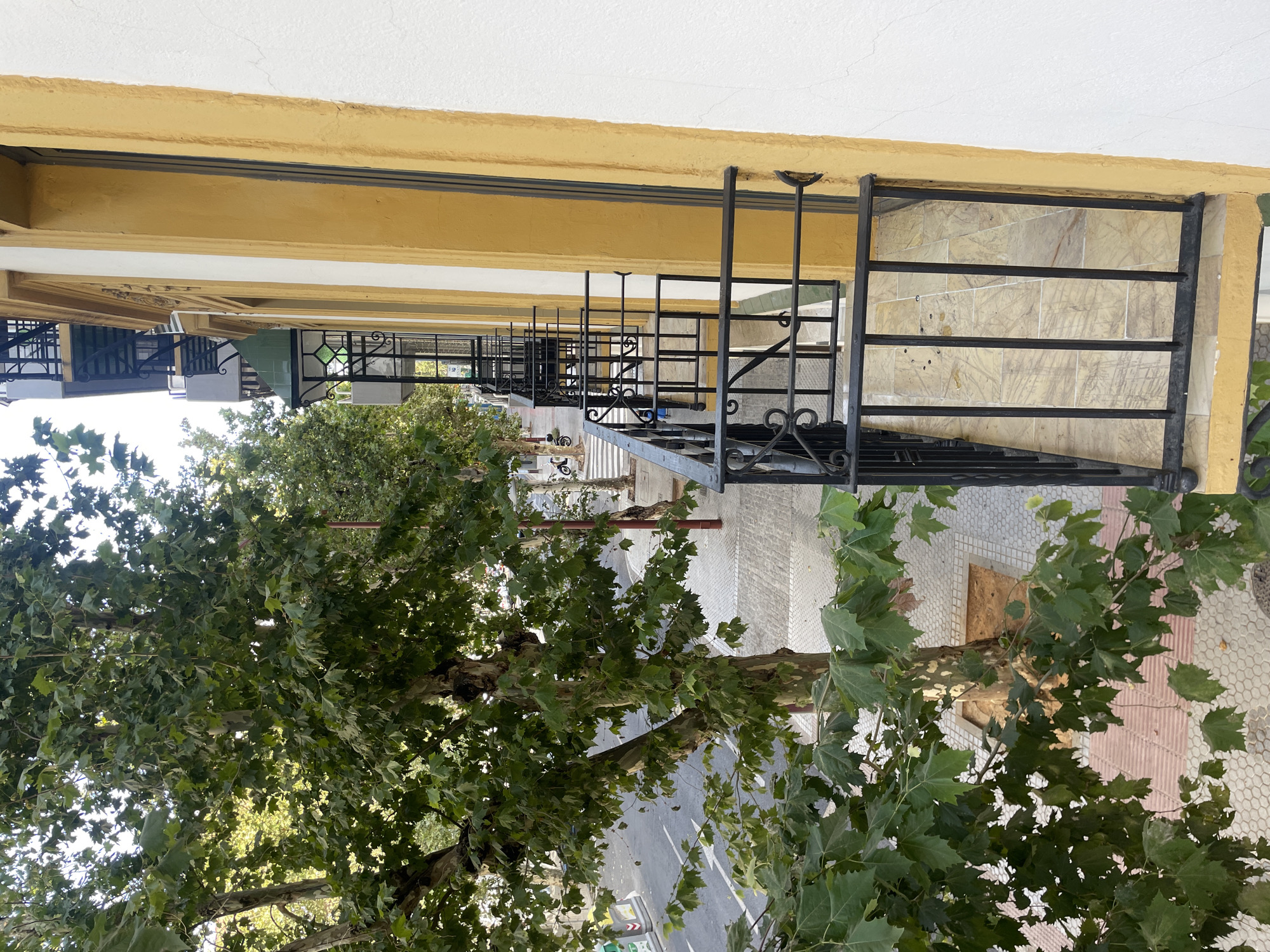 The image shows a view from a balcony in Sevilla, Spain, looking out onto a tree-lined street. The balcony has black wrought-iron railings and a tiled floor. The building facade is painted yellow with white trim. A large tree with green leaves dominates the left side of the frame, casting dappled sunlight onto the sidewalk below. The street is paved with asphalt and has white lane markings. Parked on the sidewalk are several trash bins and a motorcycle. In the background, more trees and buildings are visible. The sky is overcast.