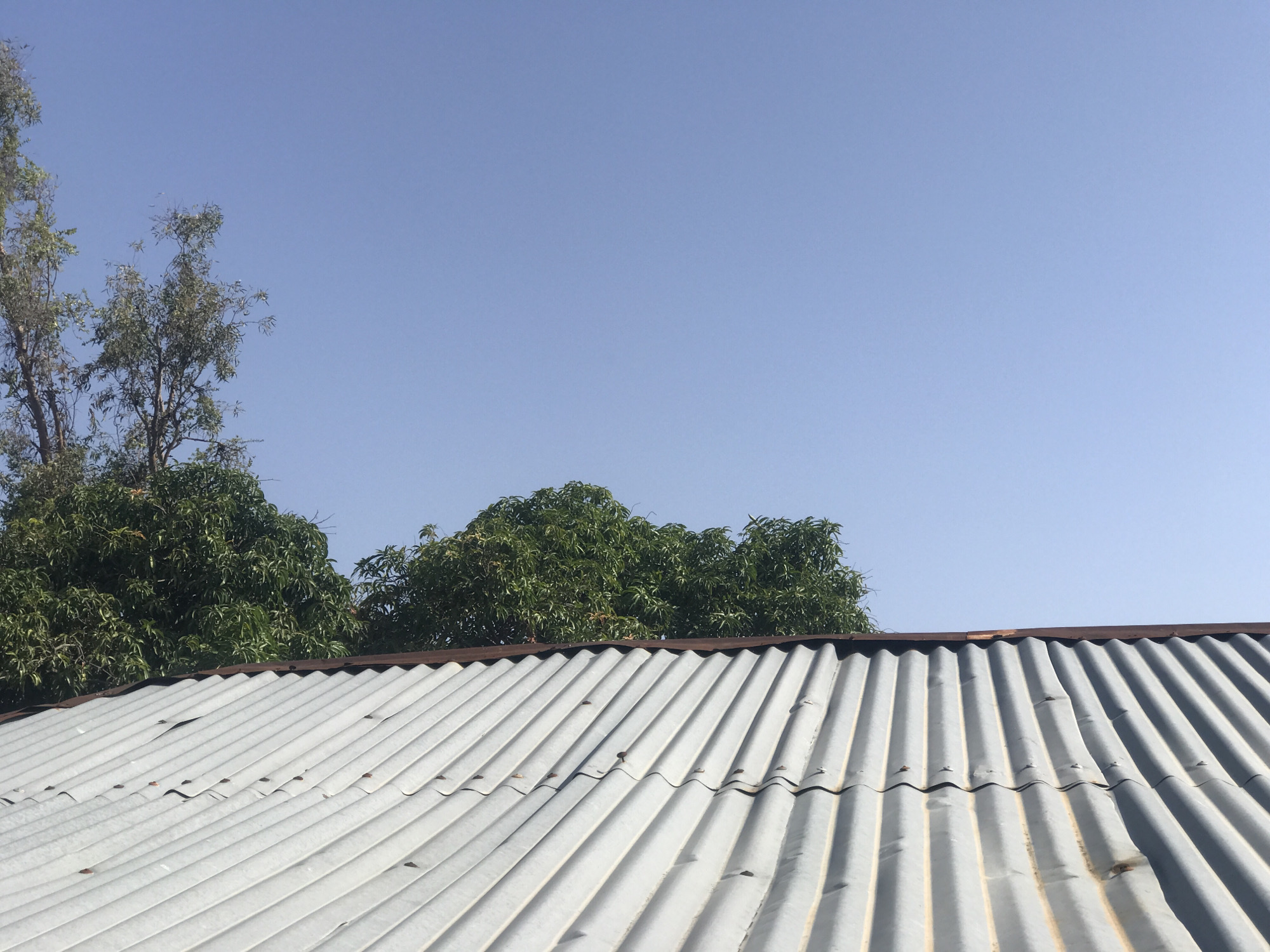 The image captures a close-up view of a corrugated metal roof, likely in Kabong, Nigeria. The roof is light gray and shows signs of age with visible rust spots and slight deformations. It slopes upwards from the bottom of the frame. Above the roof, a line of lush green trees forms a dense canopy, interspersed with what appear to be branches of a taller, more slender tree on the left. The sky above is a clear, pale blue, dominating the upper half of the image. No people or animals are visible in the scene.
