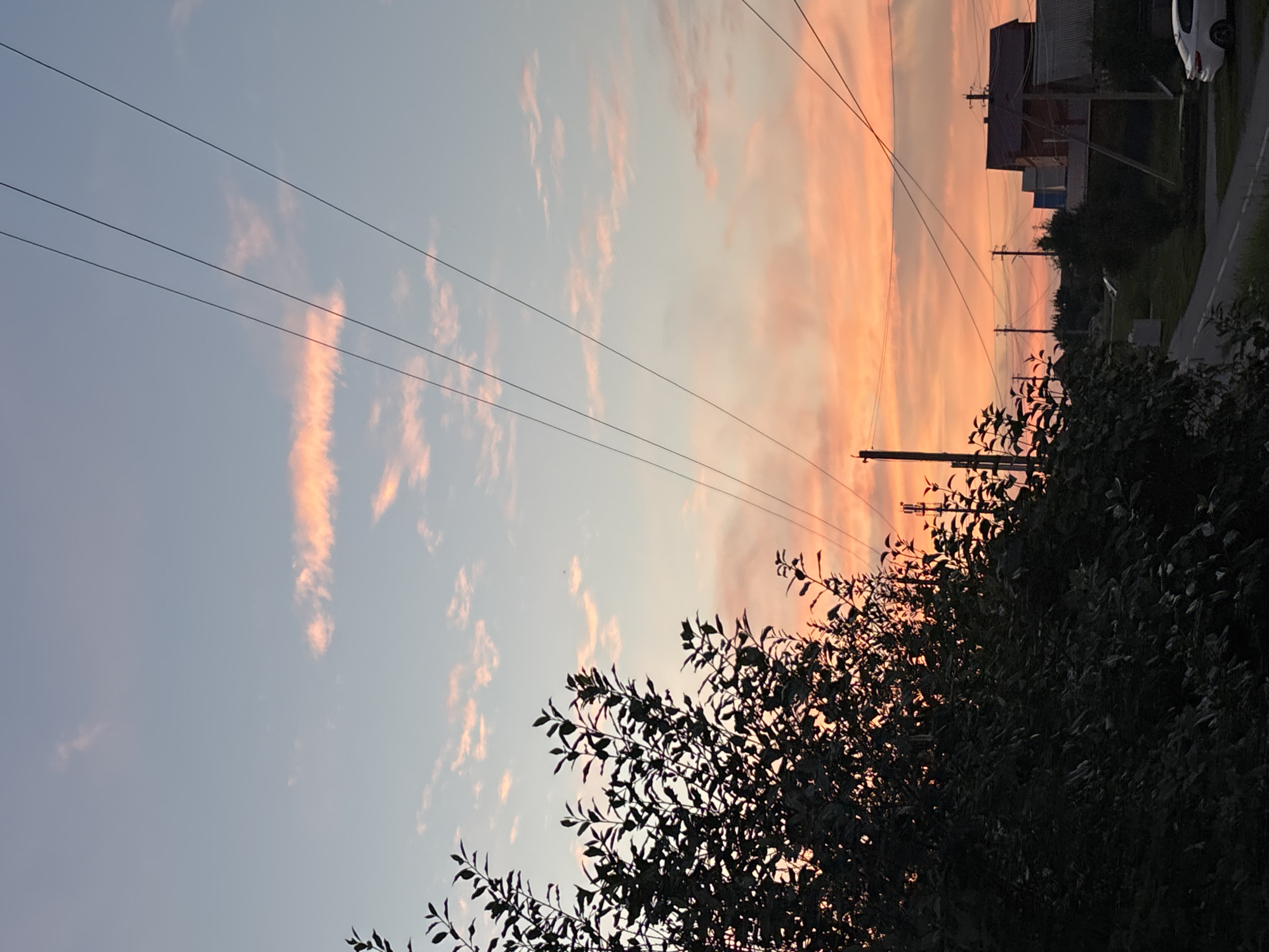 This is a vertically oriented, wide-angle photograph taken at dusk in Vishnevka, Russia. The sky dominates the upper portion of the image, transitioning from a pale blue at the bottom to a vibrant orange and pink gradient at the top, indicative of a sunset. Wispy clouds are scattered across the sky, catching the warm sunset light.
In the foreground, a dark silhouette of dense foliage, likely a tree or bush, occupies the bottom right and bottom left corners, with its branches reaching towards the sky. A series of thin, dark power lines stretch horizontally across the sky from left to right, supported by utility poles visible in the background.
In the middle ground and background, several buildings with corrugated metal roofs are visible, suggesting a rural or semi-rural residential area. A dark road or path runs alongside the buildings on the right side of the image. A portion of a white vehicle is parked on the right side of the road. The overall mood is serene and peaceful, characteristic of a quiet evening in a village setting. There is no visible text in the image.