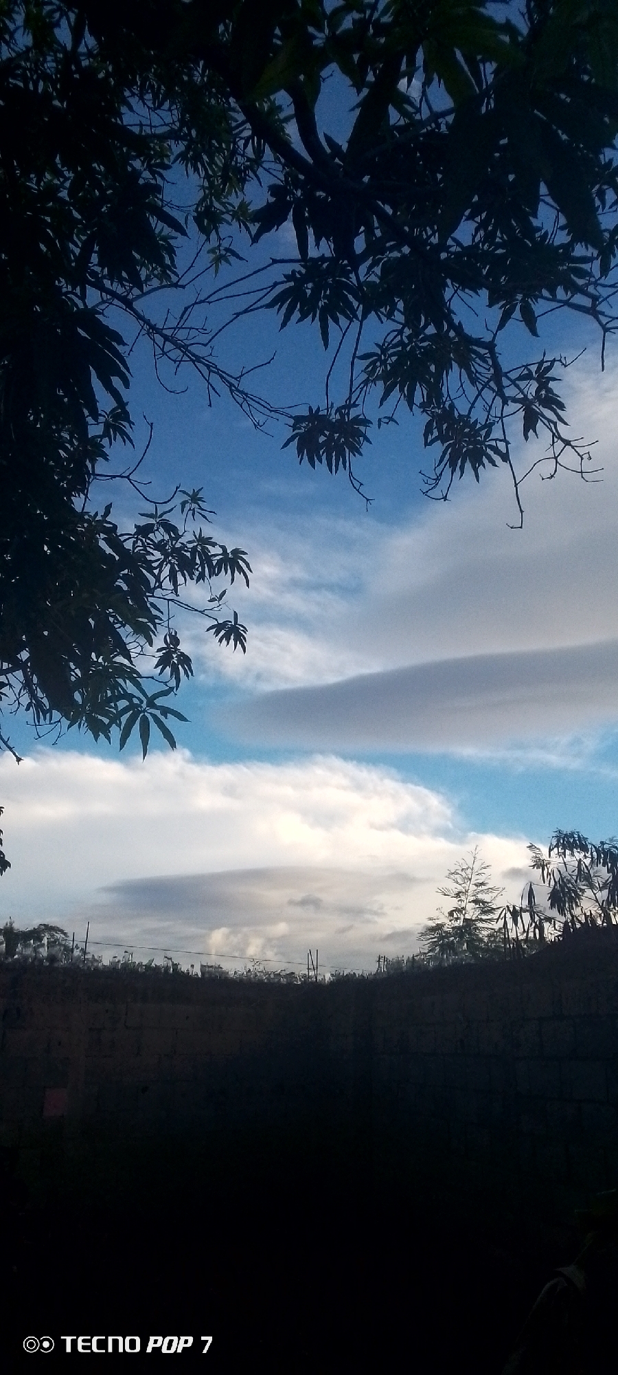 The image captures a view of the sky above a dark, silhouetted foreground. The sky is a vibrant blue, streaked with white and gray clouds, suggesting either early morning or late afternoon lighting. Overhanging tree branches and leaves, also in silhouette, dominate the upper portion of the frame, obscuring the sky in some areas. The lower section of the image shows a dark, brick-like structure, likely a wall or building, and a faint line of what appears to be vegetation or a fence against the horizon. The bottom left corner displays a watermark reading "TECNO POP 7". There are no visible people or specific landmarks that would indicate a location within Altagracia, Venezuela.