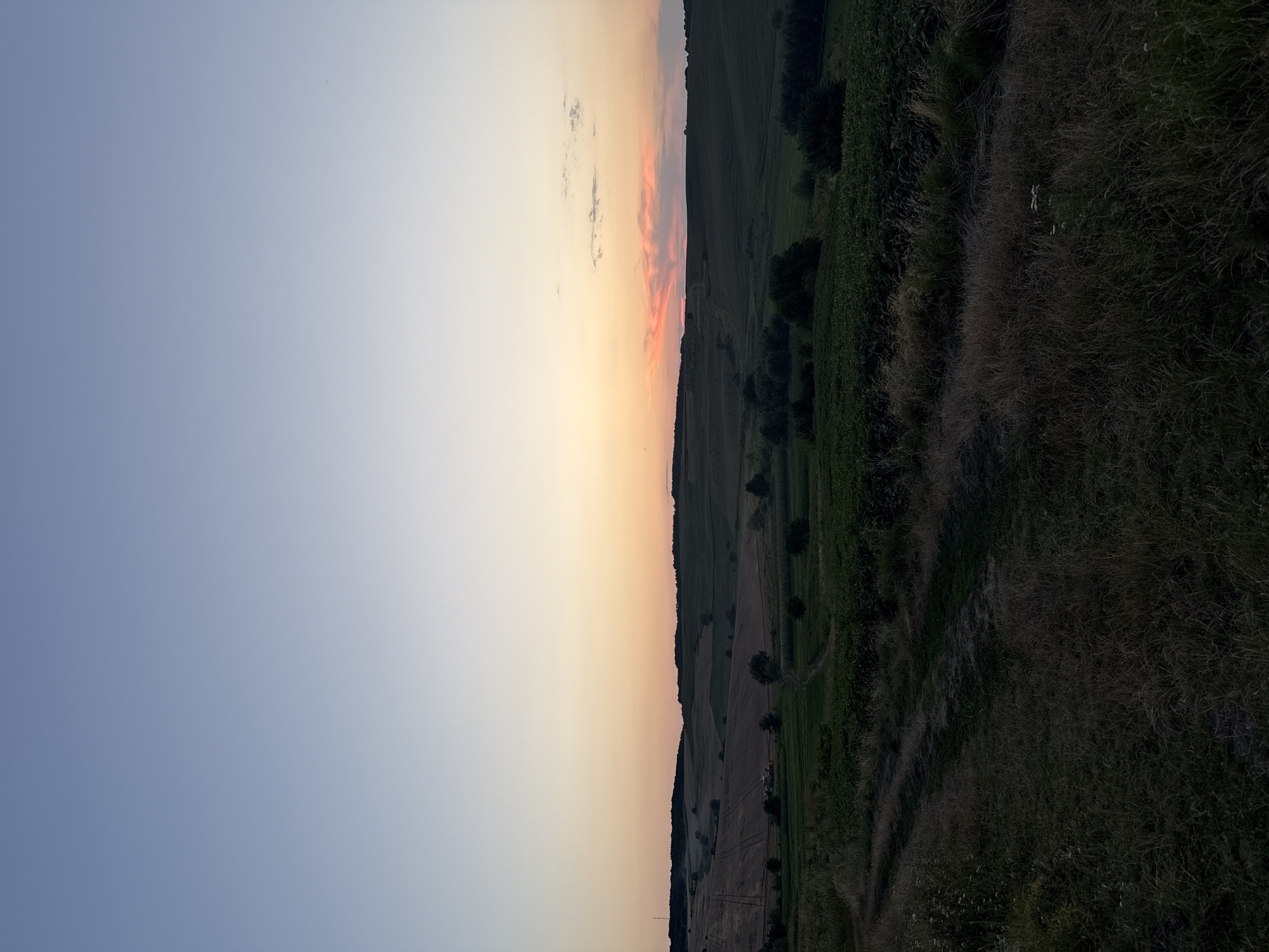 This is a wide, landscape-oriented photograph of a rural scene at dusk. The sky occupies the upper half of the image and transitions from a pale blue at the top to a soft orange and pink near the horizon, indicating the setting sun. A few wispy clouds are visible in the pink band of the sky. The lower half of the image depicts rolling hills and fields. In the foreground, there is a dirt path winding through tall, dry grass. Further back, there are patches of darker green fields, likely crops, with some scattered trees and bushes. The distant hills are silhouetted against the colorful sky, and a few more trees are visible along their crests. A faint impression of cultivated fields, possibly harvested, is visible on the left side of the middle ground, with what appears to be a tractor. The overall impression is one of a serene, agricultural landscape at the end of the day.