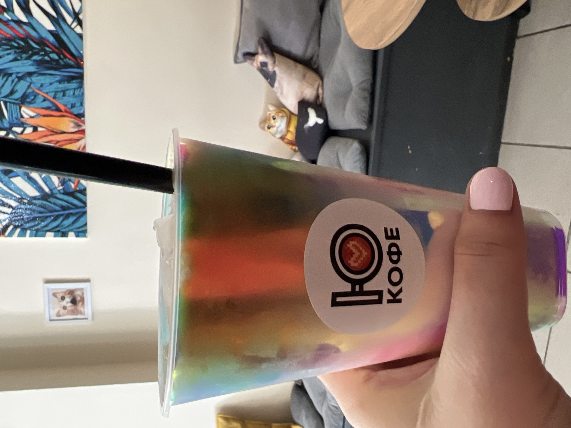 A person's hand with pink nail polish is holding a clear plastic cup with a rainbow-colored drink and ice. A black straw is in the cup. A round sticker with a logo and the word "КОФЕ" (Kofe, meaning coffee in Russian) is on the cup. In the background, there is a wall with a framed picture of a dog, and a colorful tropical-themed artwork. A couch with several pillows, including cat-shaped ones, is visible. The scene appears to be in a cafe. No specific location in Veliky Novgorod, Russia can be identified from the image.
