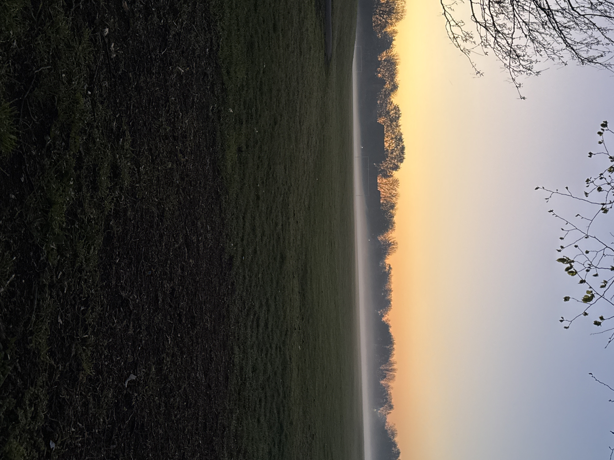 The image shows a field of grass in London, United Kingdom, at sunrise or sunset. The grass is dark and slightly damp. In the distance, a line of trees is silhouetted against a yellow sky, with a layer of fog visible above the ground. Bare tree branches are visible in the top right corner, and some branches with small leaves are in the bottom right. There are soccer goal posts are barely visible in the distant center, obscured by fog.