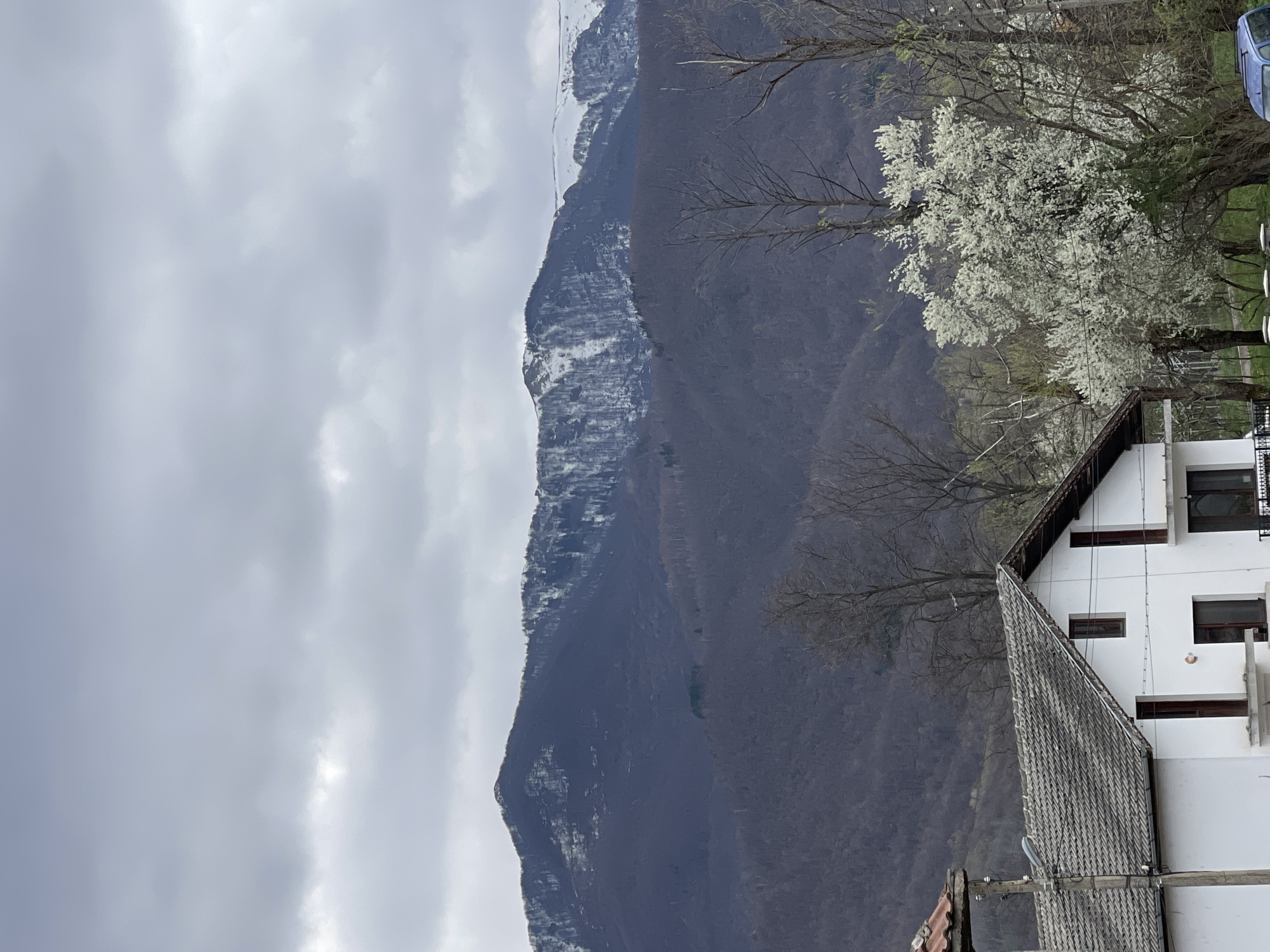 The image depicts a landscape scene in Varshets, Bulgaria. A large, dark mountain dominates the left side of the frame, partially covered in snow on its higher elevations. The sky above is overcast and gray.
On the right side of the image, a white two-story building is visible, featuring dark-framed windows and a gray tiled roof. A blossoming tree with white flowers partially obscures the building. Bare tree branches are also visible in the middle ground.
A blue car is partially visible at the top right edge of the image.