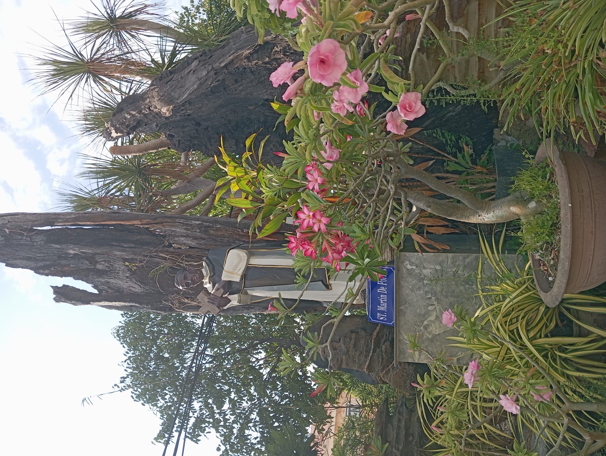 This image depicts a statue of Saint Martin de Porres standing in front of a large, weathered tree trunk. The statue is of a Black man wearing religious vestments and holding a crucifix. A blue sign beneath the statue reads "ST. Martin de Porr". The statue and tree are surrounded by various plants, including flowering bushes with pink blossoms and tall, spiky green foliage. In the background, there are more trees and palm-like plants, and a clear sky with a few clouds. The scene appears to be outdoors, possibly in a garden or courtyard. The overall impression is one of a religious or memorial site. The location is identified as Nha Trang, Vietnam.