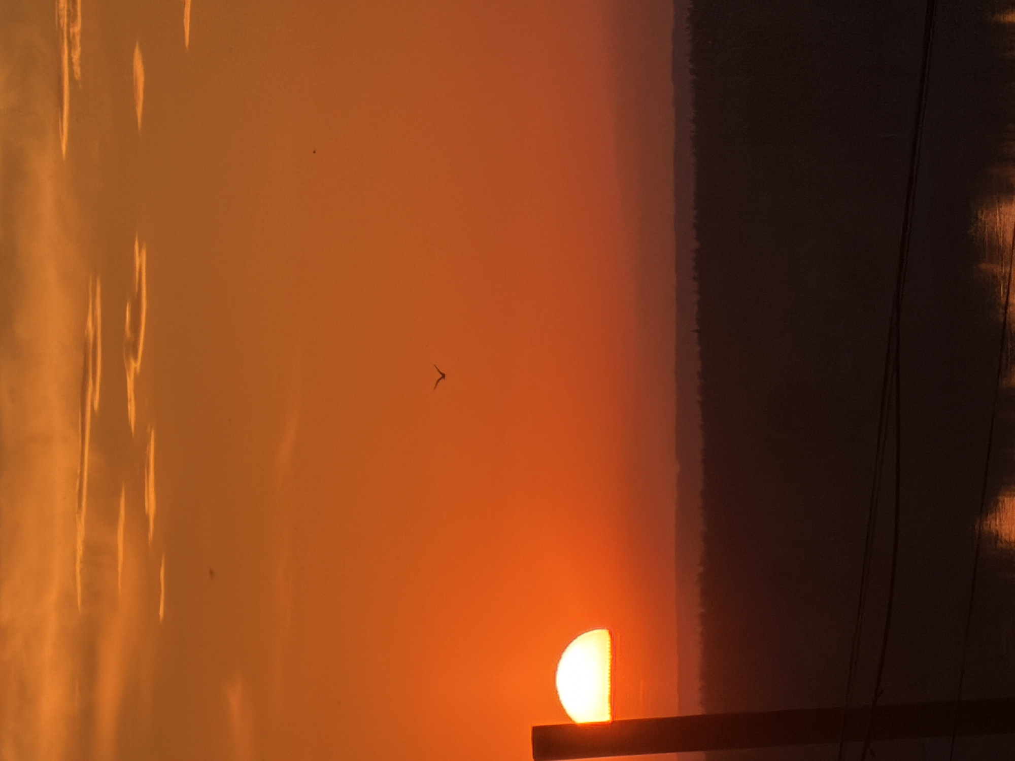 The image depicts a sunset in what appears to be Chaikovsky, Russia. The sun is partially visible, positioned low on the horizon and partially obscured by a dark, possibly silhouetted landmass or structure. A bird is seen in the sky. Utility poles and wires are also visible. The sky is orange. The time is likely evening, based on the low sun position.