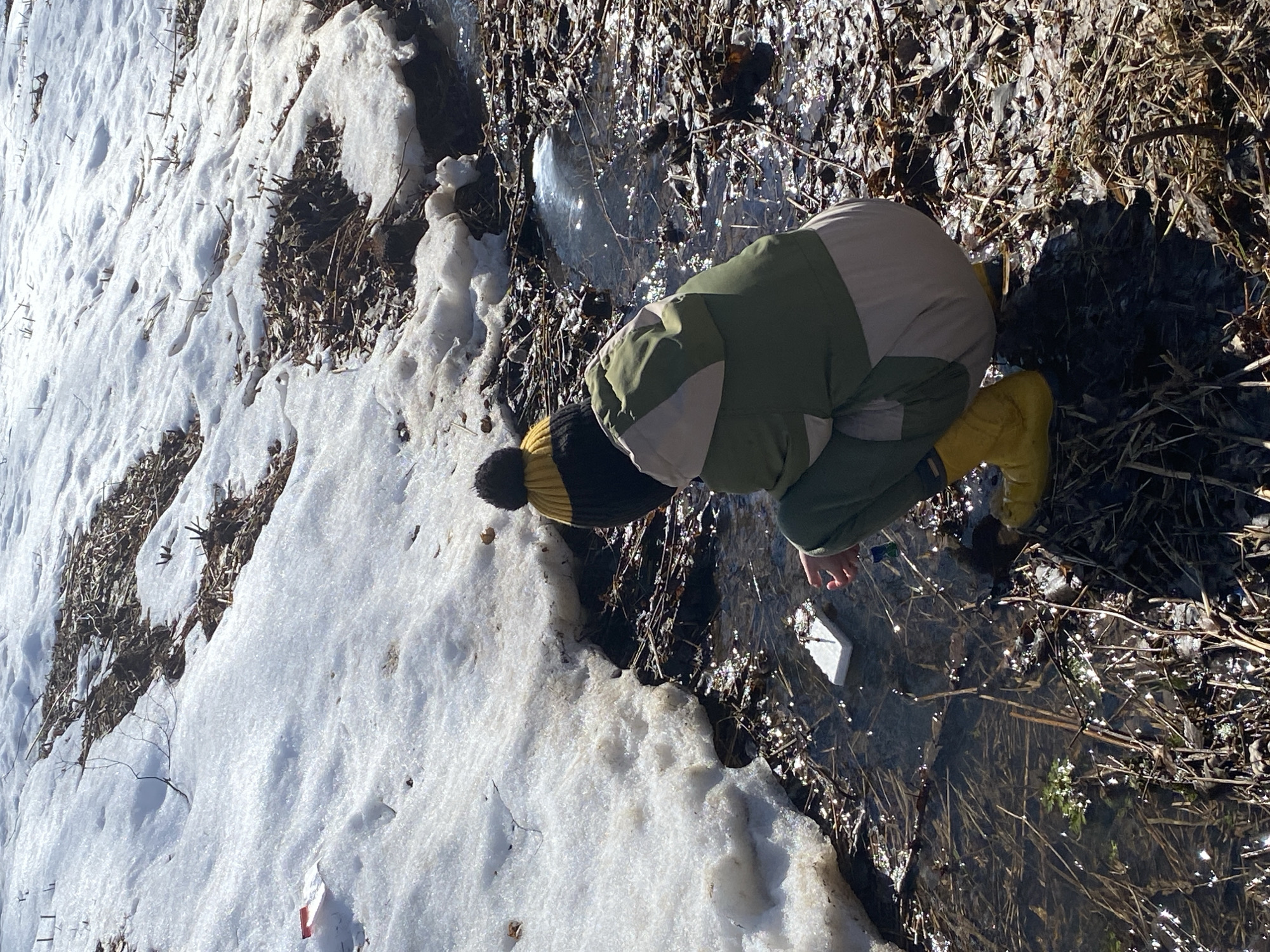 A person wearing a green and tan jacket, yellow boots, and a black and yellow hat is crouched next to a stream or puddle. The environment is a mix of snow and dry vegetation. The person's hand is near a white object floating in the water. The exact location in Noviy, Russia cannot be determined from the image alone.
