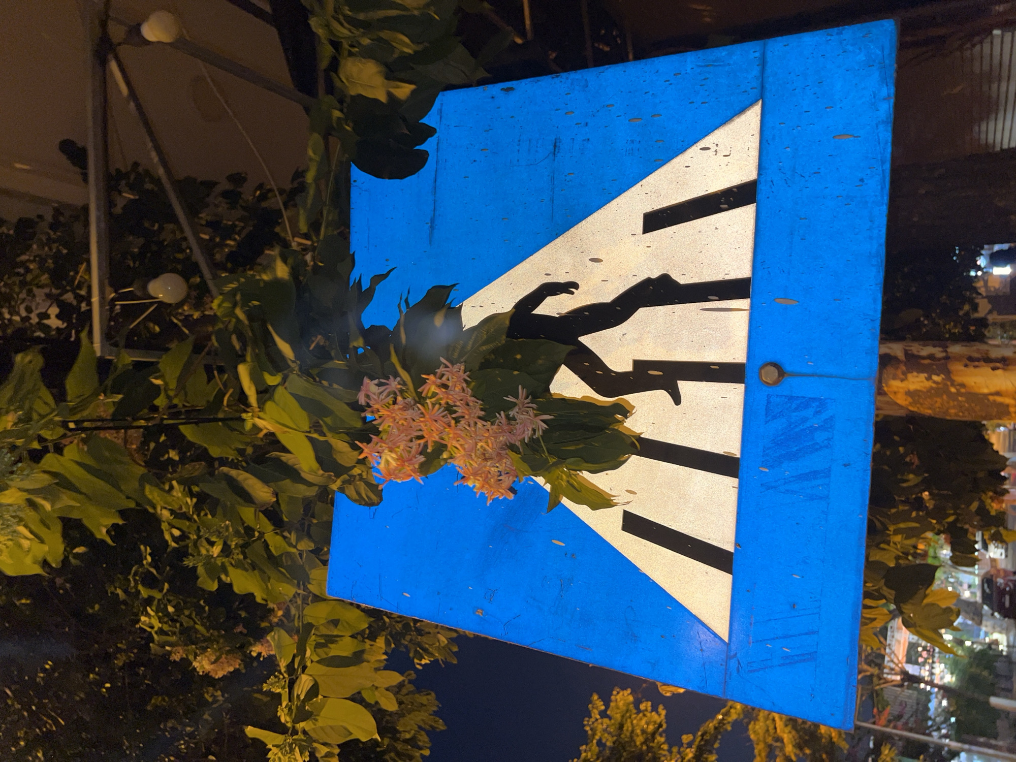 A slightly tilted, close-up shot of a blue and white crosswalk sign, partially obscured by flowering vines with large green leaves, is set against a nighttime urban background in Nha Trang Ward, Vietnam. The sign, a standard diamond shape, features a white crosswalk design with black pedestrian silhouettes crossing it. The blue field of the sign is aged and marred. The vines are intertwined with the signpost, adding an element of nature reclaiming urban infrastructure. In the blurred background, streetlights and the muted lights of businesses and buildings are visible, indicating an urban environment. The composition is a mix of urban decay and natural overgrowth.
