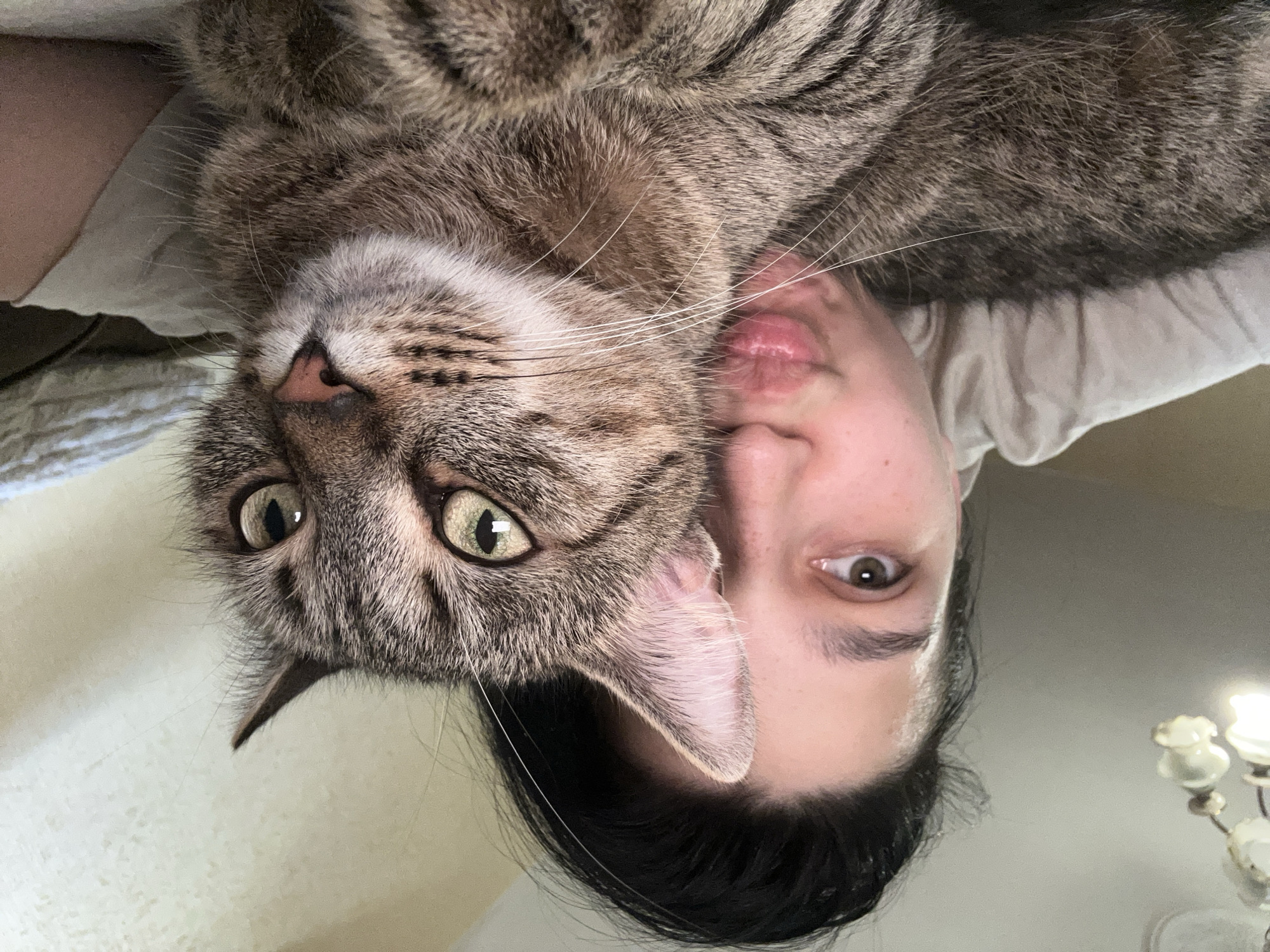 An indoor portrait, likely a selfie, depicts a person and a domestic short-haired tabby cat in Sofia, Bulgaria. A person with dark hair pulled back is partially visible behind the cat, positioned on the left, displaying their left eye and forehead. Their lips are pursed in a "kiss" expression, and they wear a light-colored hooded top. The tabby cat, featuring prominent brown, grey, and black stripes, occupies the central and right portions of the frame. Its large, light green eyes are wide and alert, directed slightly to the right. A pink nose and white whiskers are clearly visible, and its front paws are resting together. The background includes a light-colored ceiling on the left, revealing part of a multi-bulb chandelier with one illuminated bulb. The right background features a light-colored wall and textured bedding or fabric.