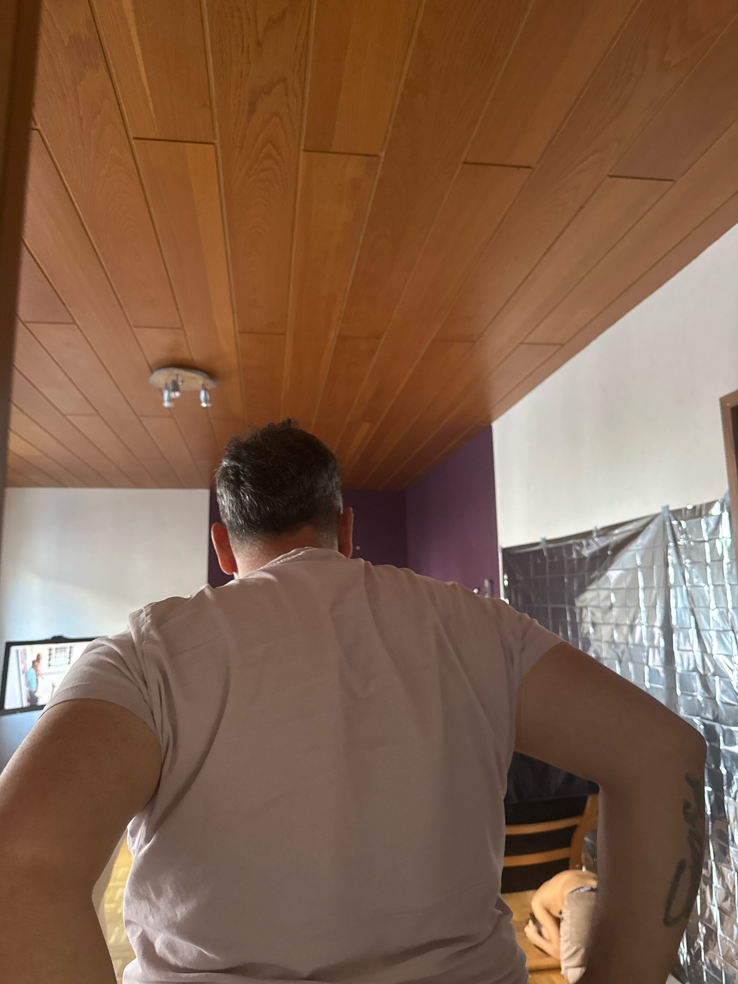 A man stands with his back to the camera, facing a wooden-paneled ceiling with a light fixture. He is wearing a light pink t-shirt. In the background, a television screen shows an image of two people. To the right, a metallic, reflective sheet is hung on a wall, partially obscuring chairs. The scene appears to be an indoor setting, possibly a residential room.