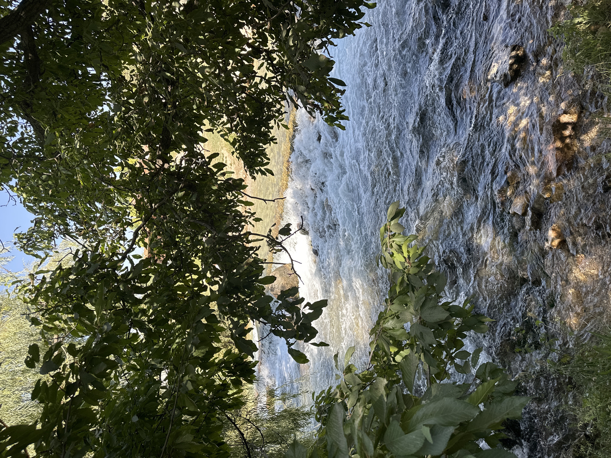An outdoor, vertical, medium shot captures a flowing river. The water is a deep blue with white ripples, suggesting it is moving quickly. The riverbed is rocky and visible through the clear water in some areas, with sunlight reflecting off the surface. Lush green foliage from overhanging trees frames the top and left sides of the image, with some branches and leaves casting shadows on the water. In the background, beyond the river, there is a glimpse of a grassy bank and more trees. The scene is natural and serene, evoking a sense of a peaceful natural setting. This scene is likely located in Halkapınar, Turkey, given the context.