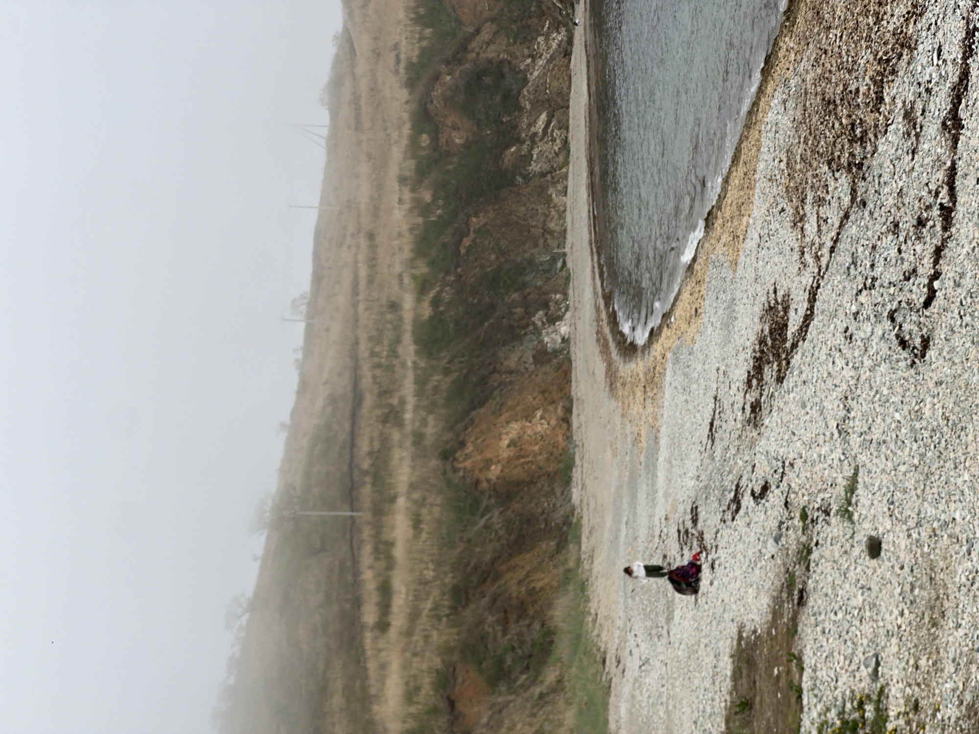 The image depicts a rocky shoreline on a foggy day in Zarubino, Russia. A figure, possibly a person, is standing on the beach. The sea borders the shoreline, and a grassy slope rises to the left. Electrical or communication poles are visible on the slope, obscured by the fog.
