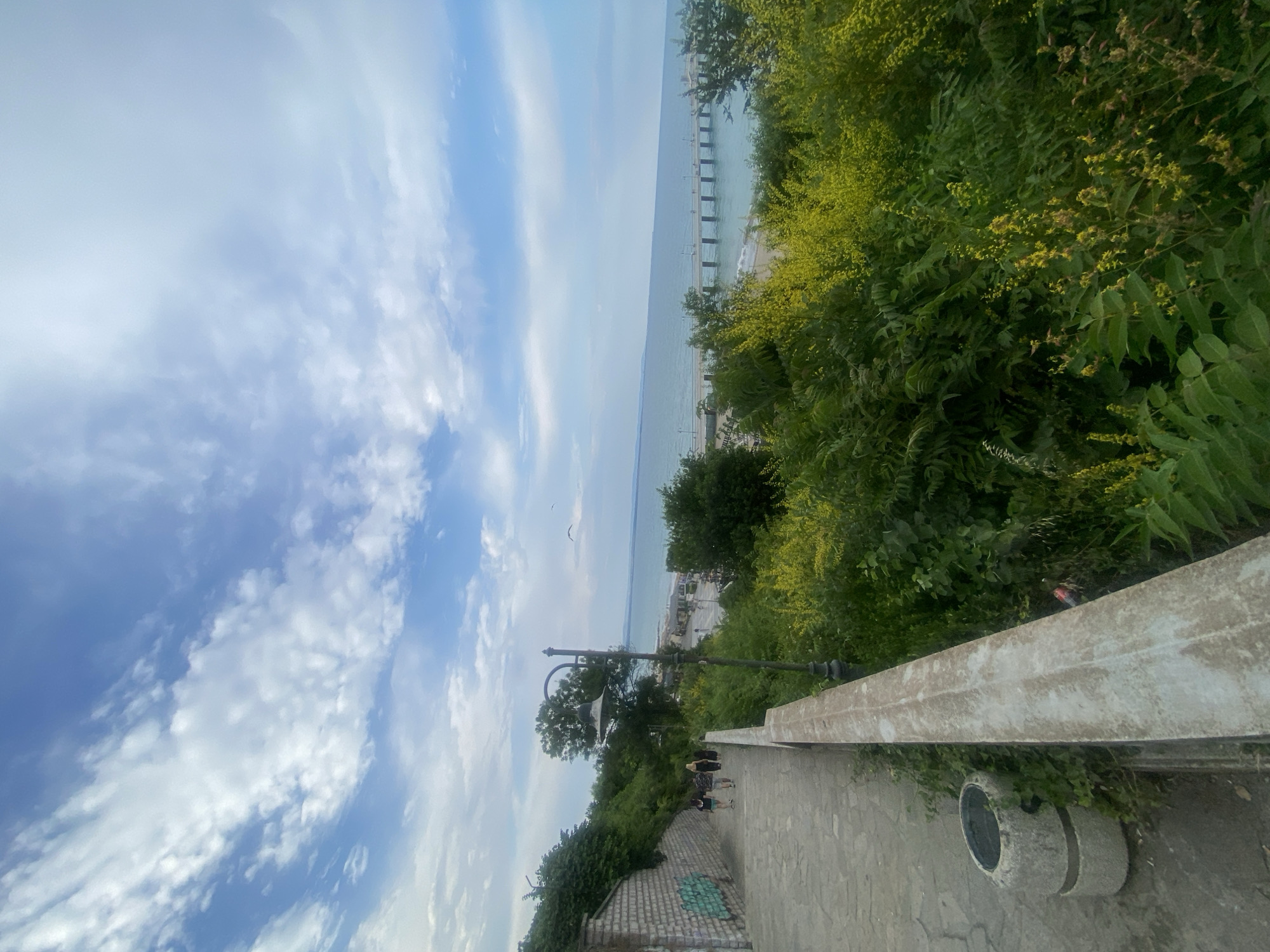This media file captures a view of the Black Sea coast in Burgas, Bulgaria. The scene is dominated by a bright sky with scattered clouds, suggesting a clear, daytime atmosphere. In the foreground, a paved pathway slopes downwards, bordered by a concrete railing and lush green vegetation. Some of the plants are flowering with small yellow blossoms. Further down the path, a few individuals are visible walking. A lamppost stands on the left side of the path. Beyond the immediate path and greenery, the expansive blue waters of the sea stretch out to the horizon. A pier extends into the sea, with a small beach area and buildings visible along the coastline. The overall impression is of a pleasant, scenic overlook on a sunny day, likely a popular spot for walking and enjoying the coastal views. The image is oriented vertically, with the sky occupying the upper portion and the sea and land below. There is no visible text in the image.