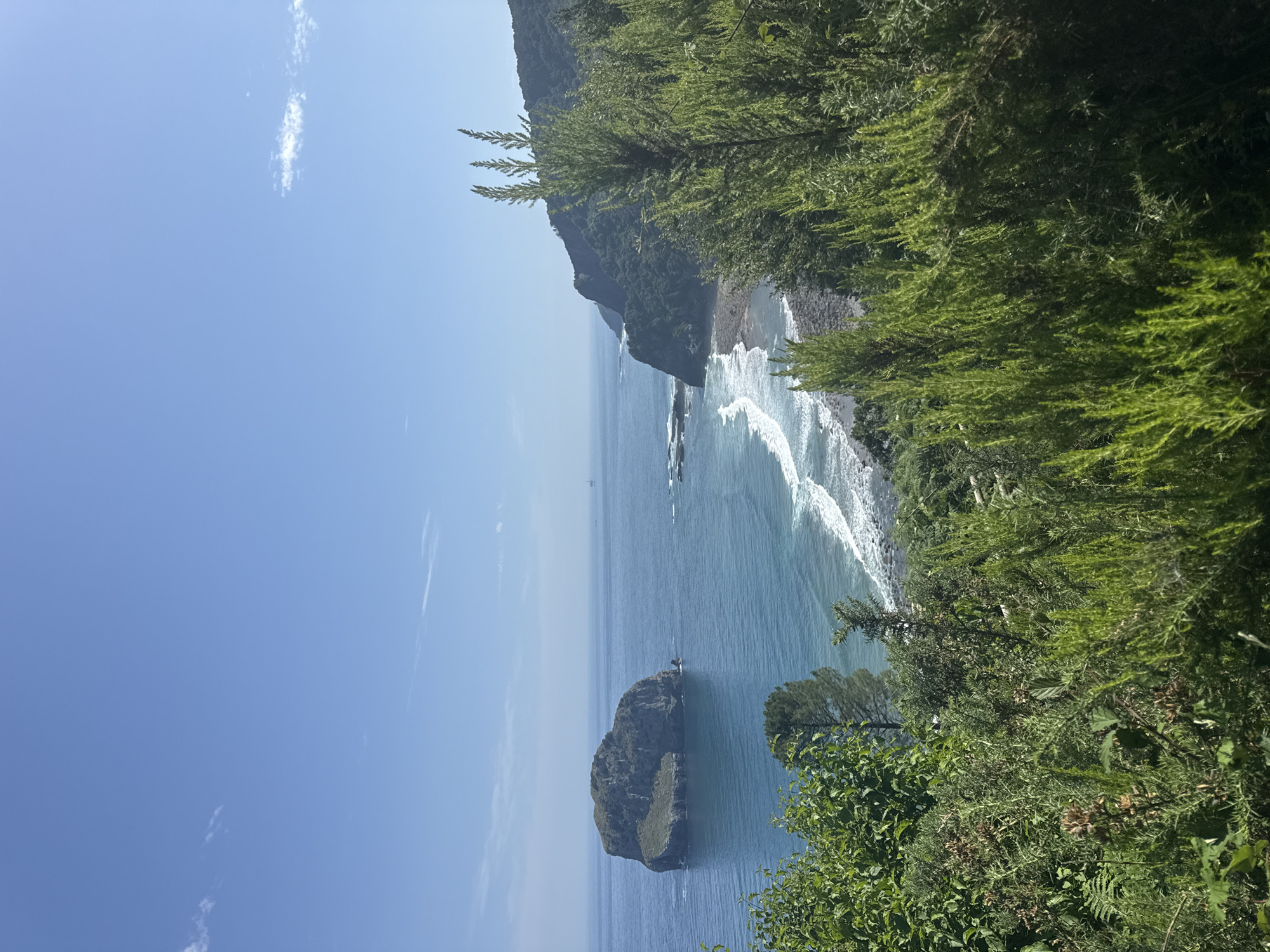 A high-angle, full shot captures a serene coastal landscape under a clear blue sky. In the distance, a large, rocky island sits isolated in the calm, blue sea. The coastline is rugged and green, with trees and vegetation dotting the hills. A small, pebbly beach with gentle waves breaks the shoreline. In the foreground, lush green foliage and tall, wispy trees frame the scene, partially obscuring the view of the ocean and island. The overall impression is one of natural beauty and tranquility, evoking the picturesque scenery of Bakio, Spain.