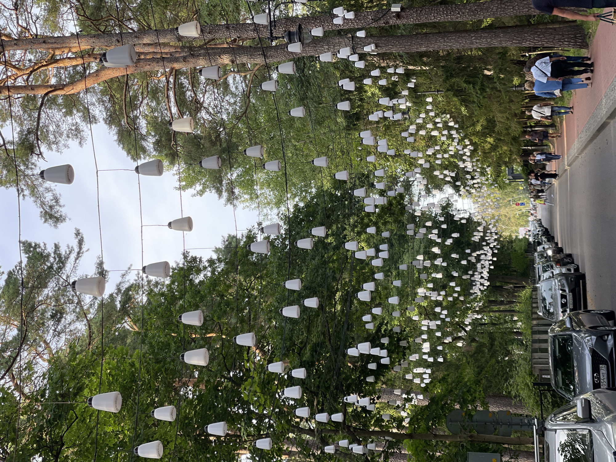 This image depicts a street lined with trees in Svetlogorsk, Russia, adorned with strings of white pendant lights that form an overhead canopy. The trees, predominantly evergreens, create a lush green backdrop. Several cars are parked and driving on the right side of the road, forming a line. On the left side of the road, a sidewalk is visible with a few pedestrians walking. The sky is visible through the canopy of lights and trees. The lighting suggests it is daytime.