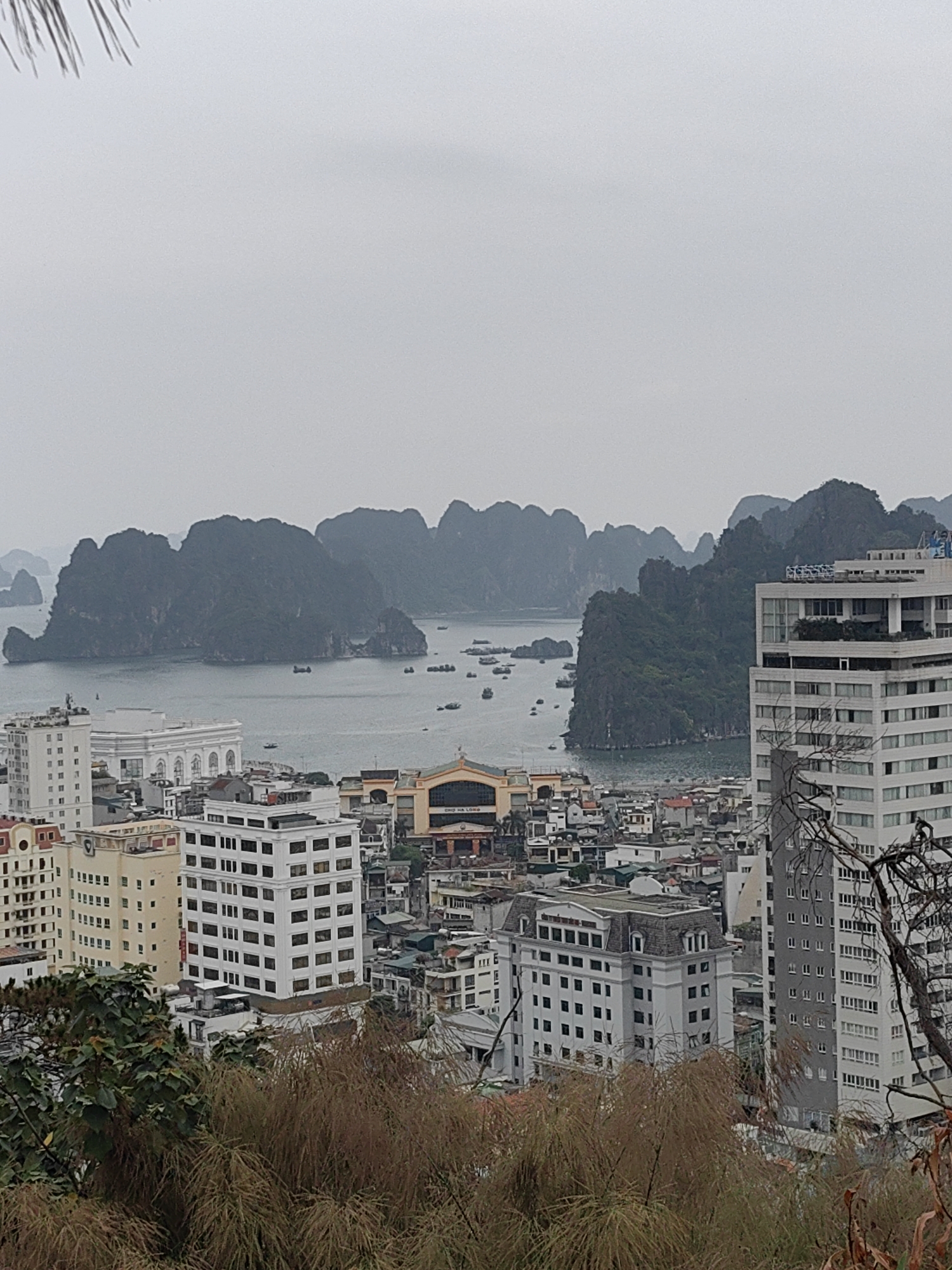 The image presents an expansive elevated view overlooking a coastal city and bay, characterized by dramatic limestone karst formations in the distance under a uniformly overcast, light grey sky. The scene is dominated by the iconic natural landscape of Ha Long Bay, with numerous dark, rugged islands rising sharply from the calm, grey-blue water. Many small boats are scattered across the bay, suggesting maritime activity.
In the mid-ground, a densely packed urban area unfolds with a mix of modern high-rise buildings and older structures. Prominent among these is a large white building with classical architectural elements, featuring arches and columns, situated near the waterfront. To its right, another distinctive building with a curved, golden-brown roof and facade can be seen, with the text "CHO HA LONG" clearly visible, indicating a market. Other buildings are mostly light-colored, ranging from multi-story residential blocks to more modern commercial structures, some with dark-tinted windows. One tall, white building in the mid-right features visible signage that appears to read "SIRIUS" near its top.
The foreground is occupied by dry, brownish vegetation, possibly shrubs or grasses, suggesting the vantage point is from a hill or elevated garden. The overall lighting is soft and diffused due to the cloudy weather, creating a somewhat muted color palette across the entire scene. The time of day appears to be daytime. The location cues, particularly the karst islands and "CHO HA LONG" (Ha Long Market), confirm the setting as Hong Gai Ward, a part of Ha Long City in Vietnam.