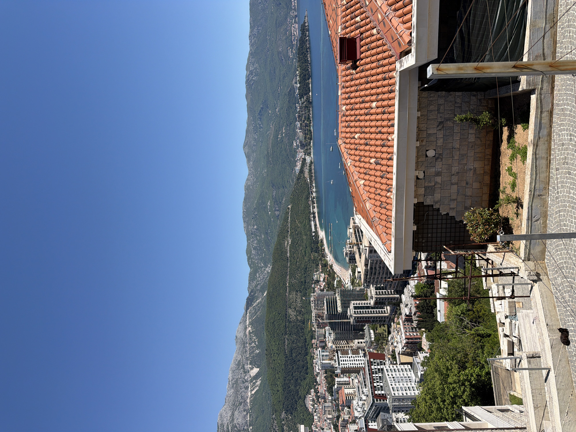 A high-angle shot showcases the city of Budva, Montenegro. The Adriatic Sea stretches along the right side, bordered by a narrow beach. Mountains rise sharply in the background. A dense cluster of buildings, including both low-rise structures and modern high-rises, forms the cityscape. In the foreground, a building with terracotta roof tiles dominates the upper-right corner. Adjacent to the building is a paved area with construction materials. A dark cat is visible near the edge of the paving. The sky is clear and blue.