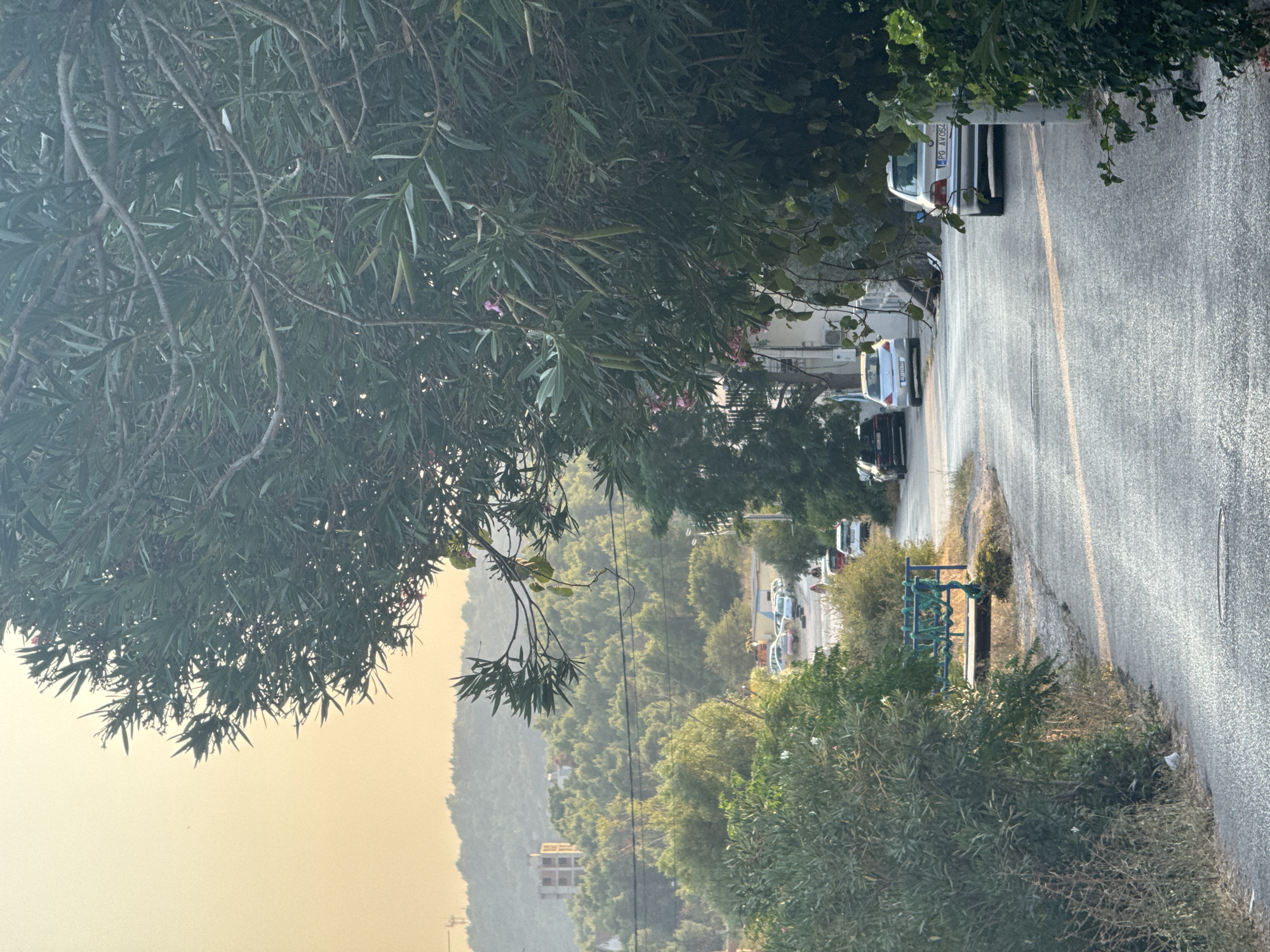 In the city of Sutomore, Montenegro, a paved road winds through a densely vegetated area. On the right side of the road, a silver sedan with license plate "PG AV054" is parked facing away from the viewer. Further up the road, additional vehicles are visible, including a silver hatchback and a dark sedan. The left side of the road is bordered by thick green foliage and trees, with a rustic blue bench with rope accents positioned near the edge. Beyond the immediate roadside vegetation, a hill covered in dense green trees rises in the background. The sky above is a hazy yellow-orange, suggesting either sunrise or sunset. A building under construction with exposed concrete structures is visible on the distant hilltop. The overall scene depicts a residential or semi-rural area in Sutomore during a period of low light.