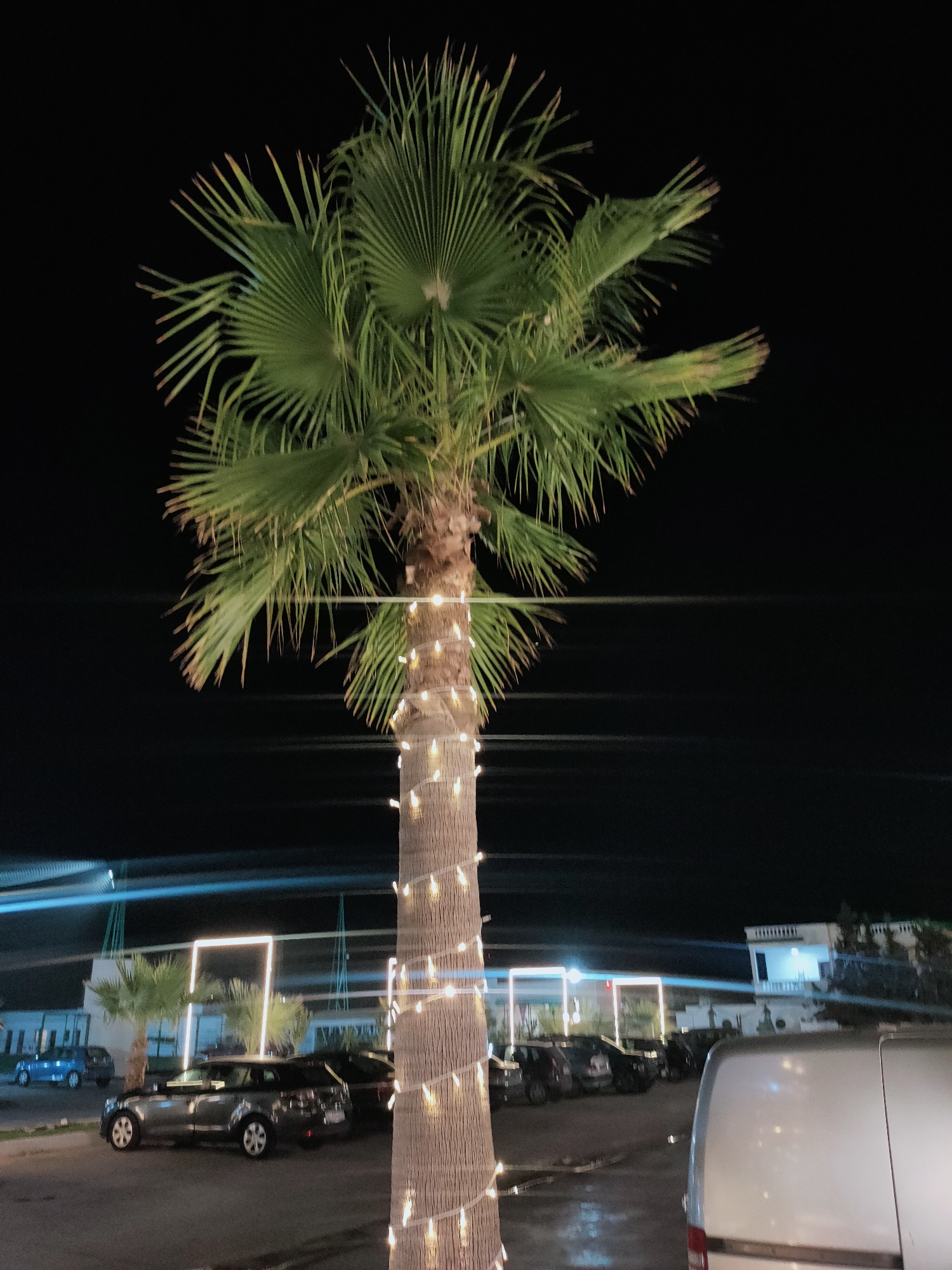A single, medium-sized palm tree stands illuminated by strings of warm white lights wrapped around its trunk, in the foreground on the right of the image. The tree's fronds are a vibrant green and are spread outwards, obscuring a portion of the dark night sky. In the mid-ground, several cars are parked in a lot. A dark-colored station wagon is prominent in the center, and other cars, including a blue sedan, are visible to the left. Behind the parked cars, there are low-lying buildings with illuminated rectangular frames, possibly decorations or architectural features, and what appears to be a sports field with lighting structures. A silver van is parked in the far right foreground, partially obstructing the view of the palm tree. The overall setting suggests an outdoor event or venue at night in Cebalat, Tunisia, with a focus on festive lighting.