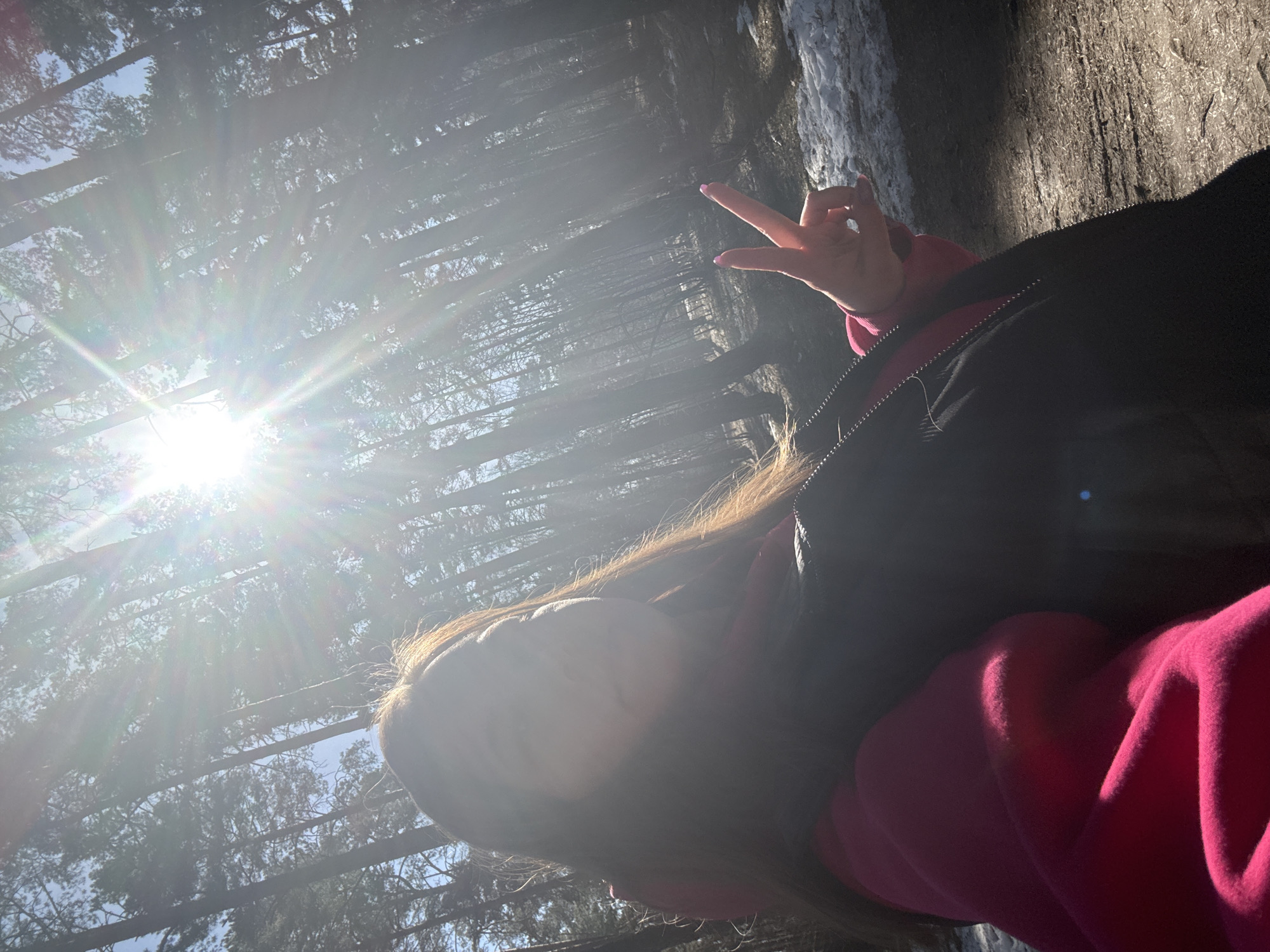 A low-angle shot shows a person outdoors in what appears to be a forest, with sunlight streaming through the trees. The person is wearing a pink sweatshirt and a black jacket, and they are making a "peace" sign with their fingers. The trees are tall and thin, suggesting a dense forest. The location is potentially Dmitrov, Russia. There is some snow and ice visible on the right side of the image.