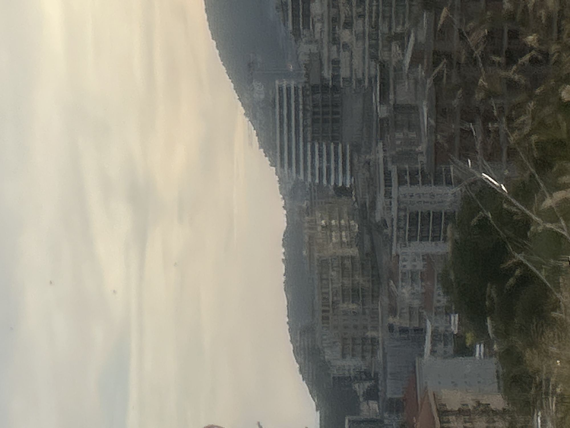 The image depicts a panoramic view of a coastal city, likely Rafailovići, Montenegro, characterized by dense urban development cascading down a hillside towards the sea. The architecture is varied, with modern, multi-story buildings featuring terraced designs and balconies dominating the mid-ground. These structures are built into the natural contours of the mountainous terrain, with some appearing to be under construction or recently completed.
In the foreground, lush green vegetation and what appear to be tall grasses or reeds are visible, suggesting a natural, somewhat wilder element at the edge of the urban sprawl. The sky above is overcast with a soft, diffused light, indicating either early morning or late afternoon, possibly with a hint of fog or mist. There are no clear indications of people or specific activities within the visible scene. The overall impression is one of a thriving, growing coastal community nestled against a dramatic natural landscape.
