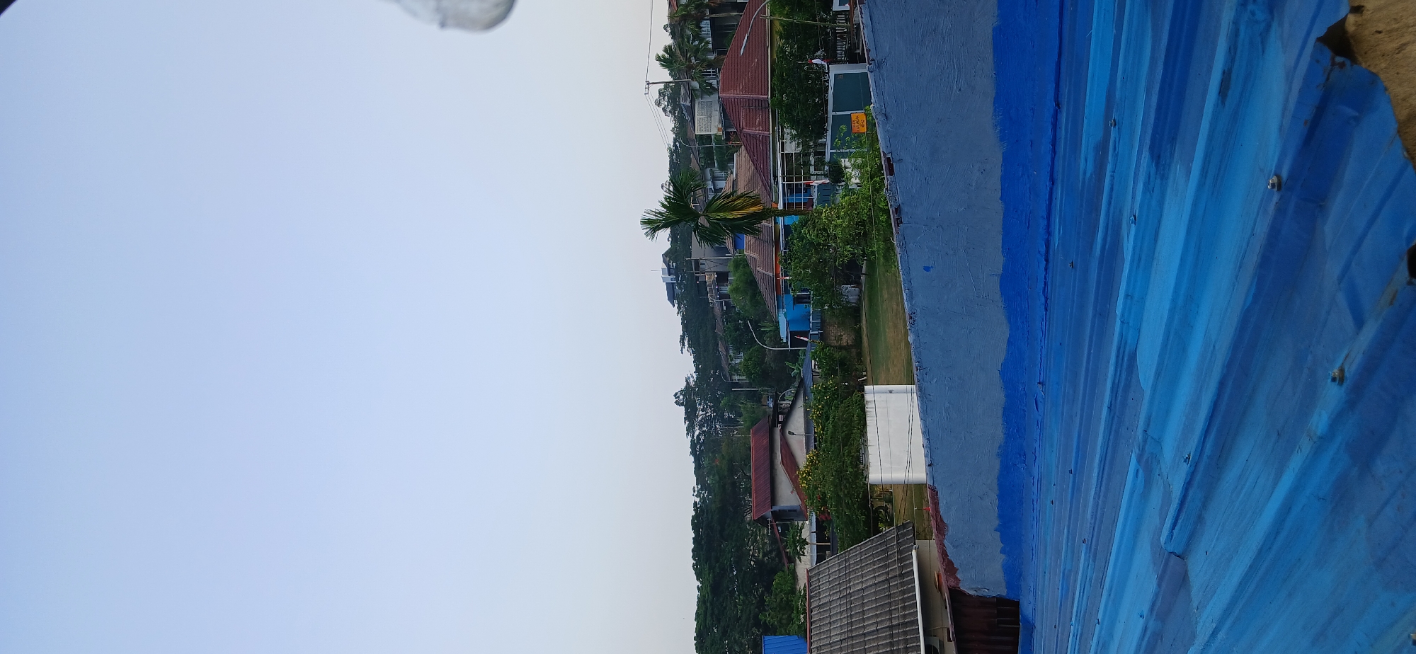 The image displays a slightly elevated view of a residential area in Samarinda, Indonesia, likely taken during the late afternoon or early evening due to the soft lighting and clear sky. In the foreground, a corrugated blue metal roof is prominent, with some sections appearing freshly painted and others showing wear. A textured gray and blue painted wall runs horizontally across the middle ground, bordering a grassy area. Beyond this wall, several houses with red and brown tiled roofs are visible, interspersed with lush green trees and palm trees. Some houses have visible architectural details like balconies and windows. In the background, a densely forested hillside rises, topped with more buildings, suggesting a suburban or semi-urban environment. The overall impression is one of a settled community surrounded by nature.