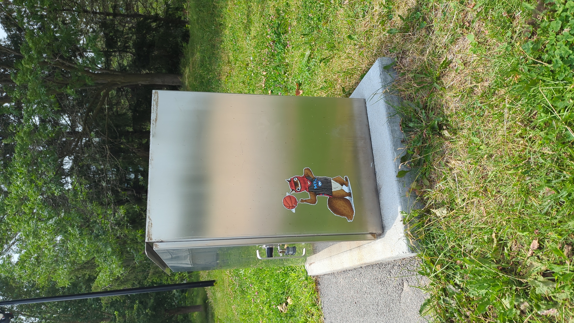 The image shows a silver metal utility box situated on a concrete slab in a grassy outdoor area. The utility box has a sticker on its front depicting a cartoon squirrel wearing a red ski mask and a black and white striped basketball jersey, holding a basketball. To the left of the utility box, a portion of a black pole is visible. The background consists of lush green trees and foliage, suggesting a park or natural setting. The ground is covered with grass and some scattered clover. The image is taken from a slightly low angle, looking up at the utility box and its surroundings. No people are present in the scene.